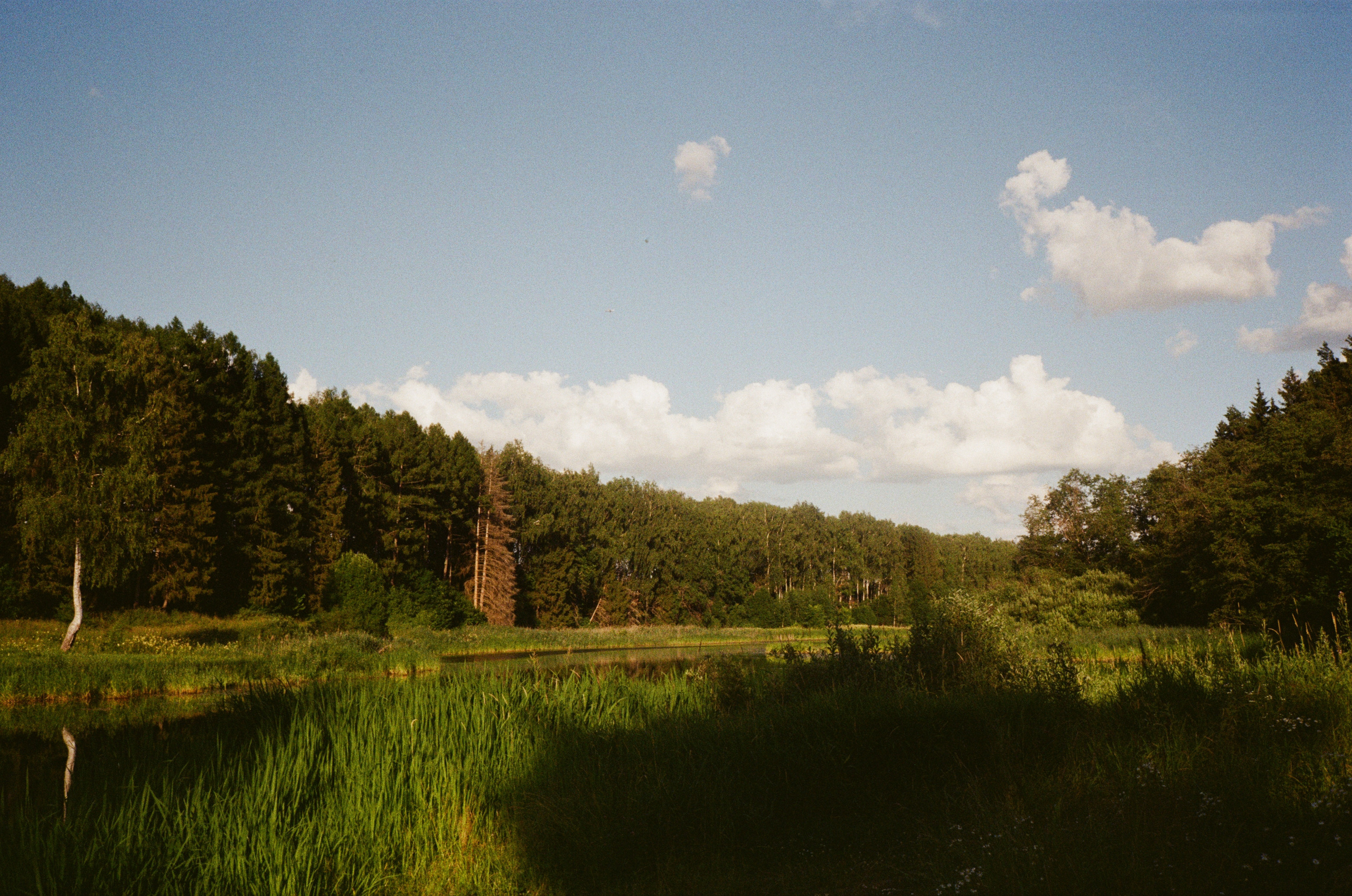 Тихая Заводь. Вечерние прогулки. Фотограф-документалист Мария Осокина
