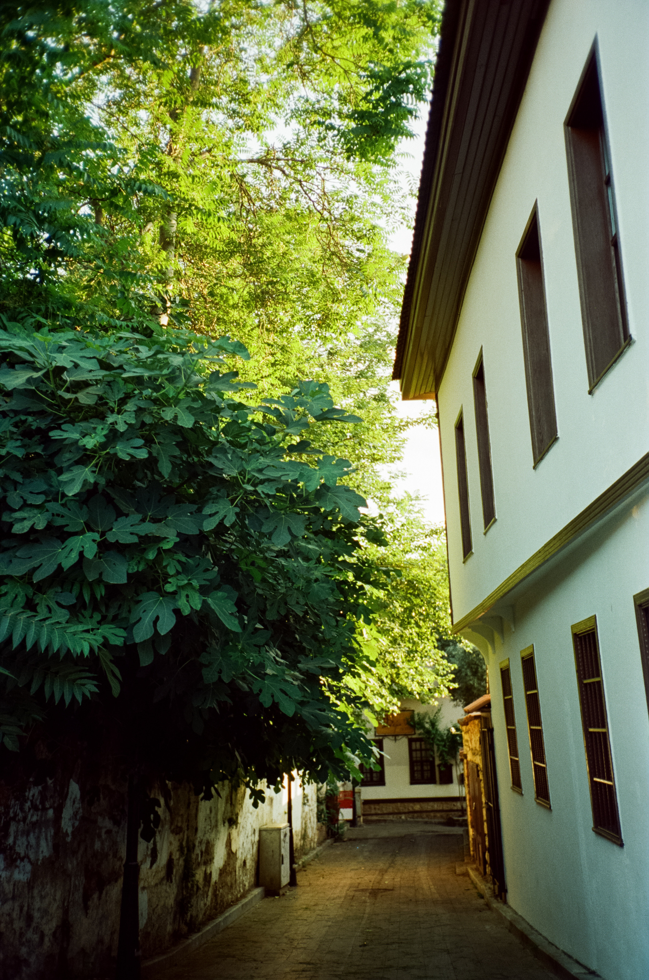 Атмосфера старого города, улочки и кафе Калеичи. Фотограф-документалист Мария Осокина