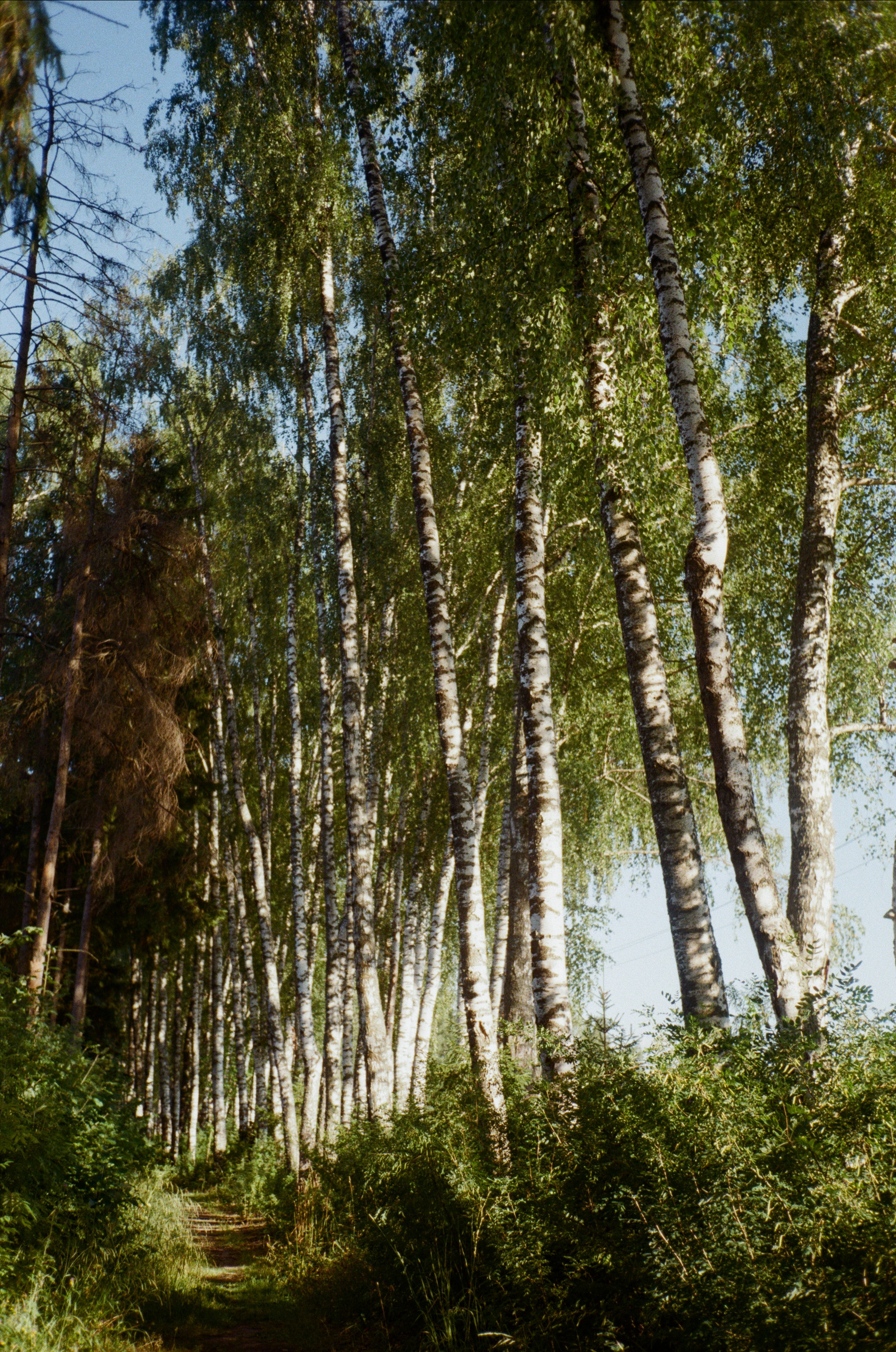 Тихая Заводь. Golden hour. Фотограф-документалист Мария Осокина