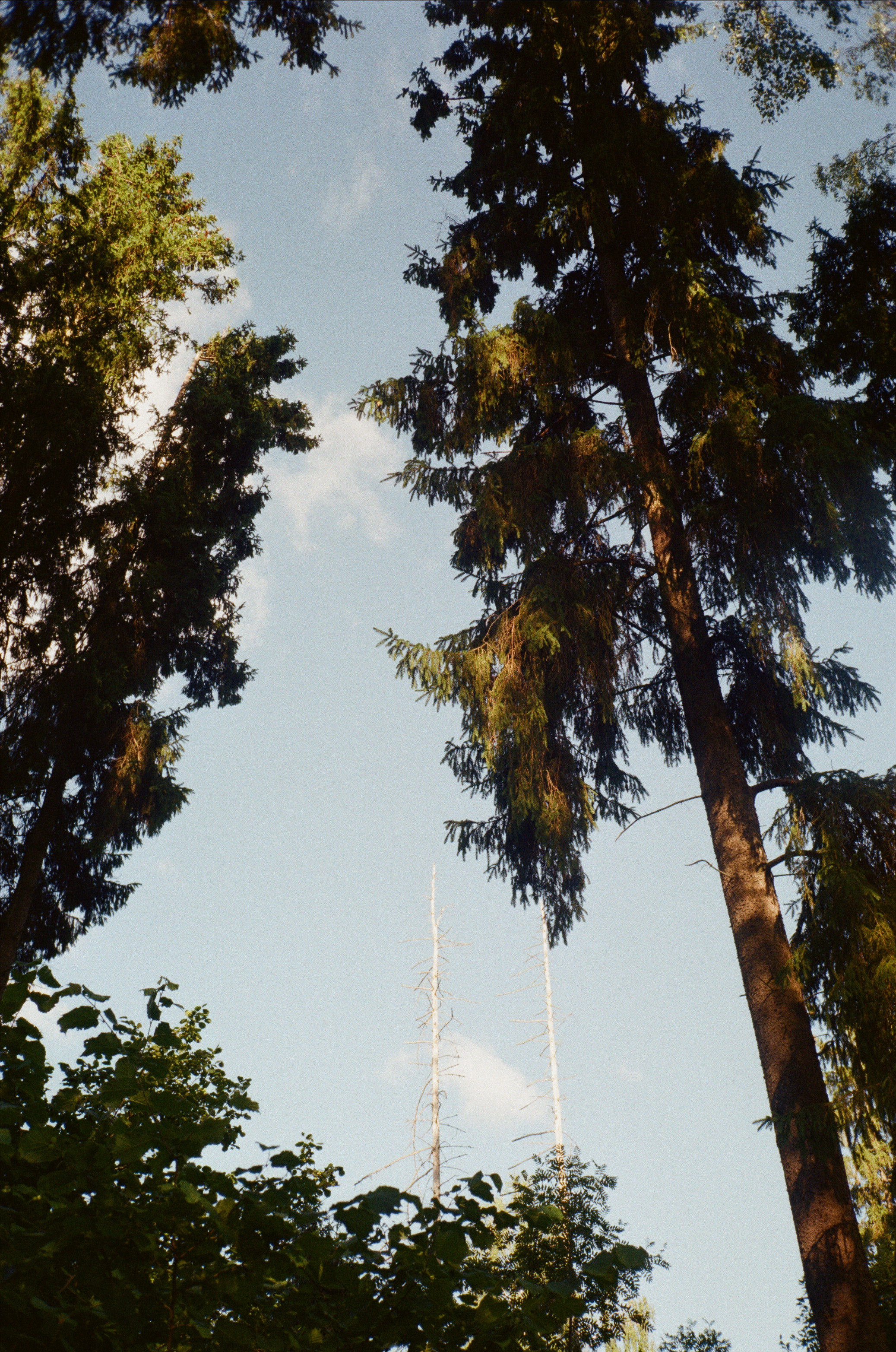 Тихая Заводь. Golden hour. Фотограф-документалист Мария Осокина