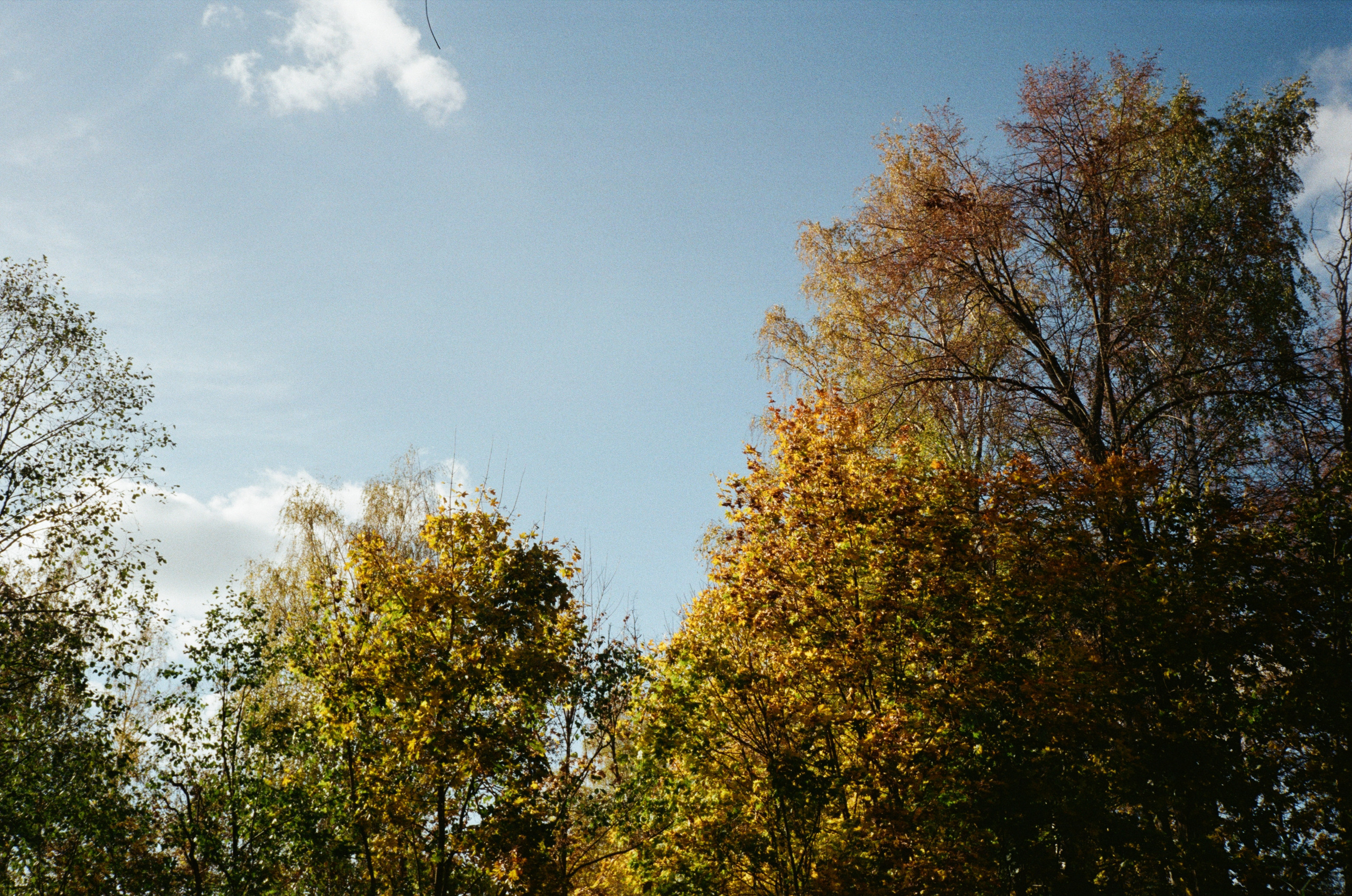 Архангельское. Золотая осень. Фотограф-документалист Мария Осокина