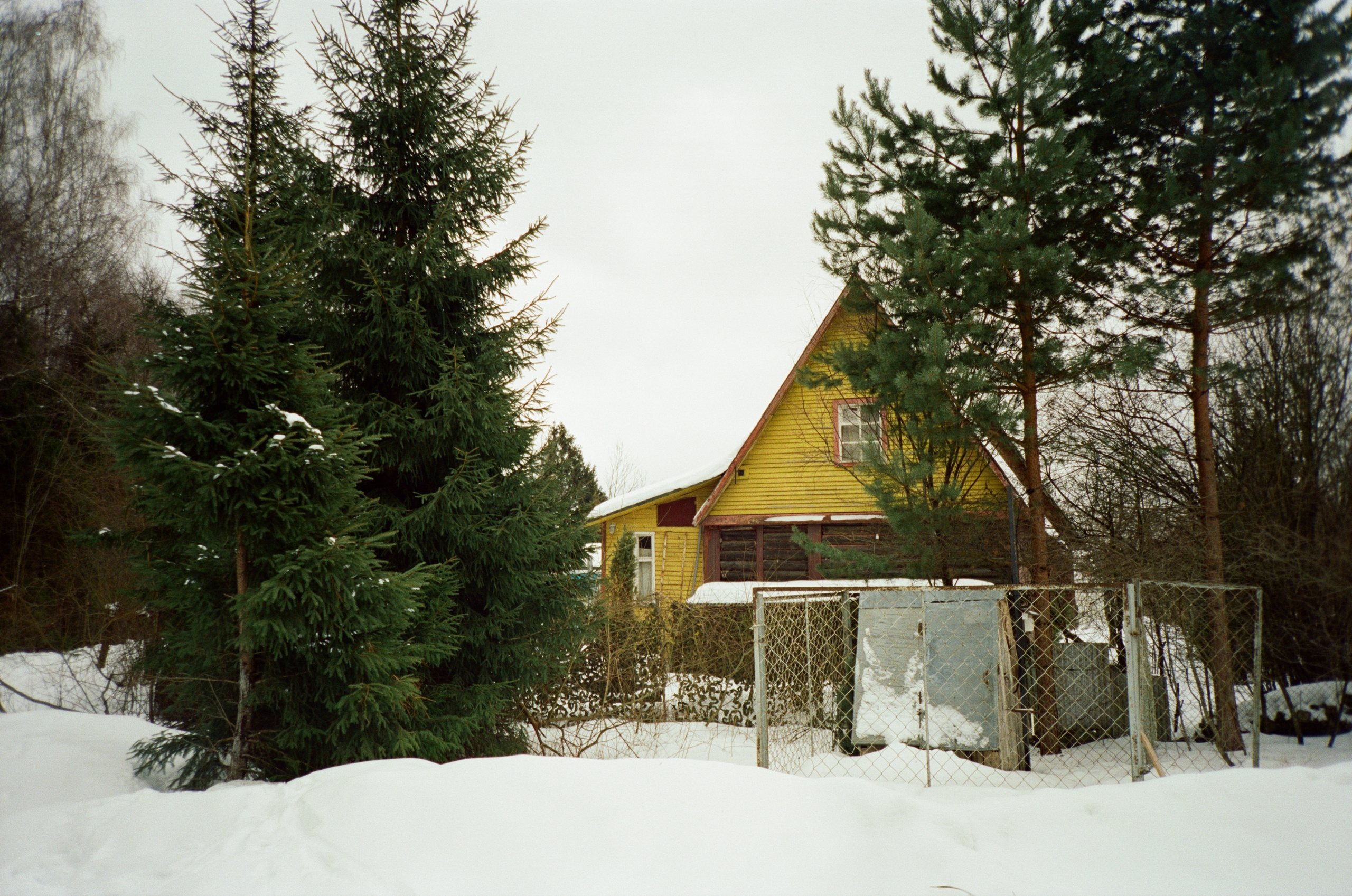 Давыдовское. Зима. Фотограф-документалист Мария Осокина