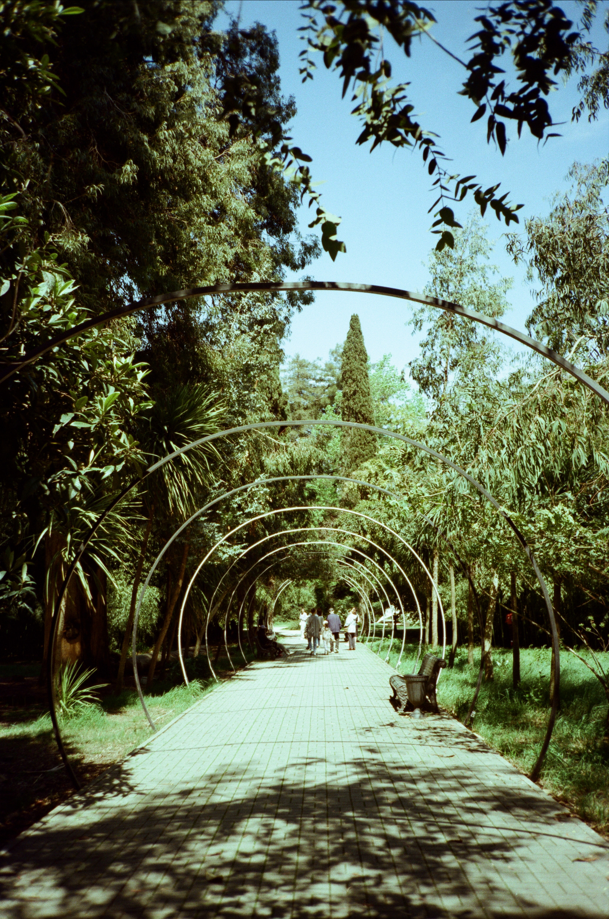 Экзотика Южных культур. Фотограф-документалист Мария Осокина