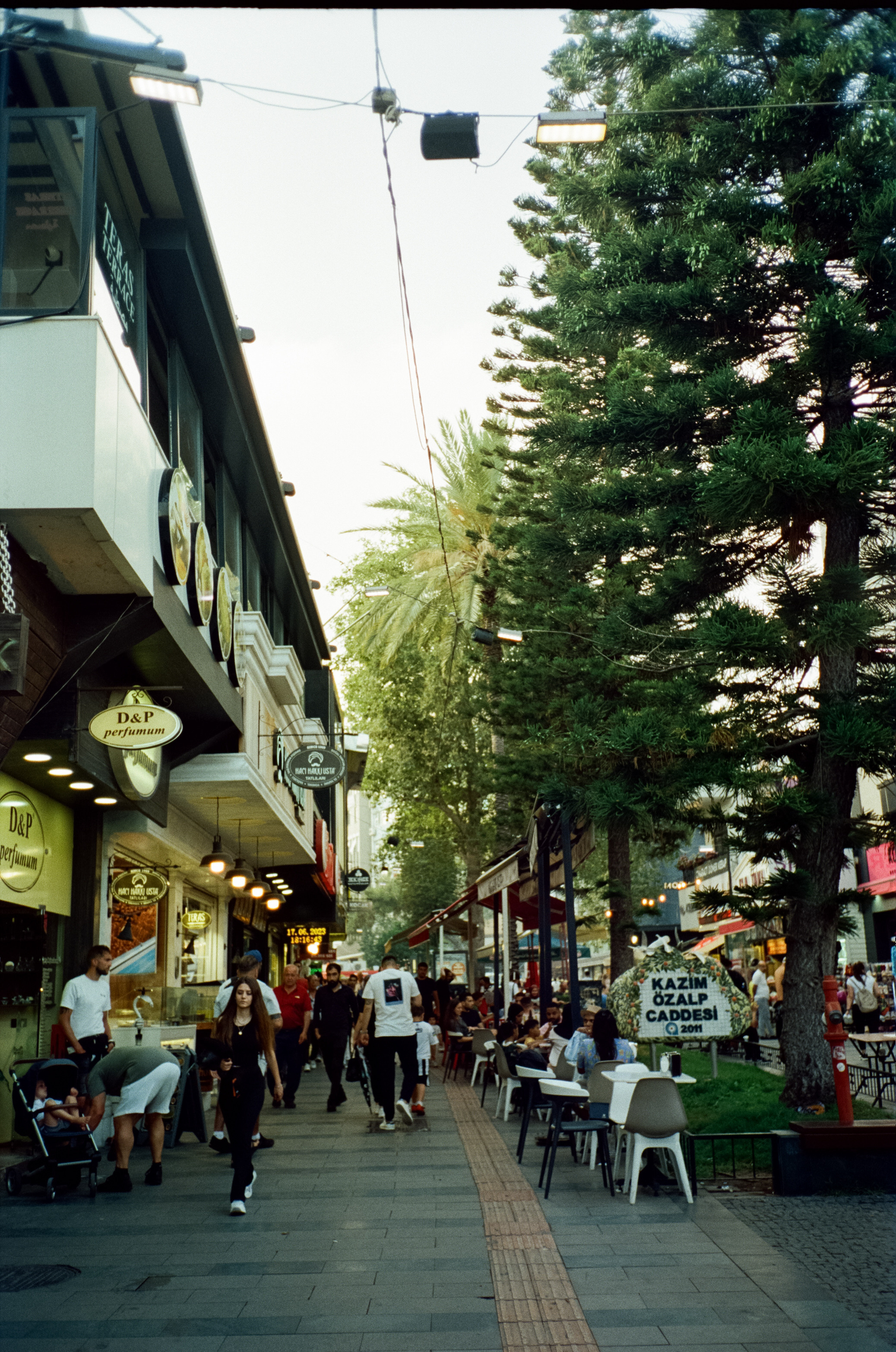 Улочки старого города, котики и кафе GeLatte. Фотограф-документалист Мария Осокина