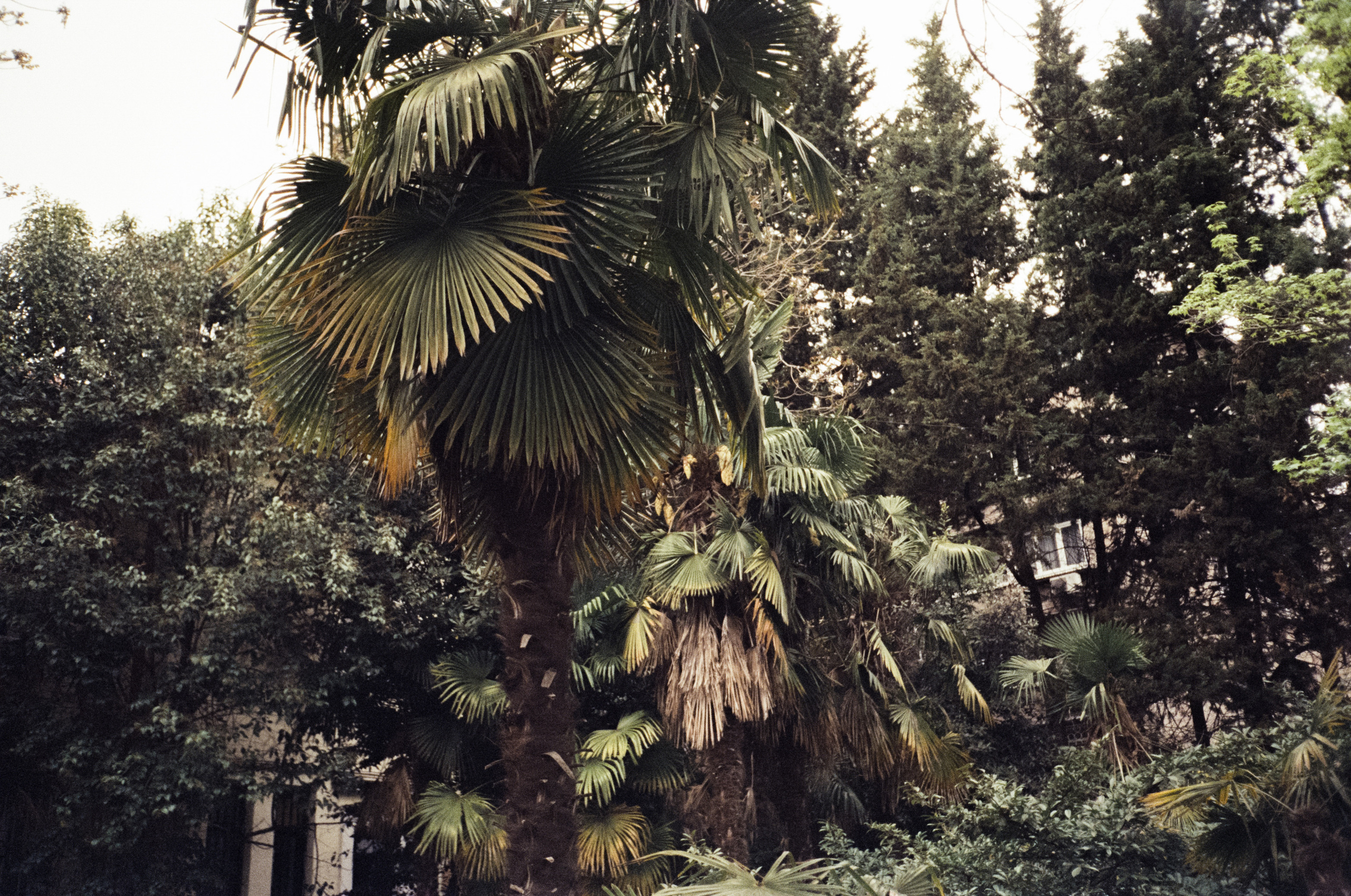 Комсомольский сквер, улочки Сочи и морской порт. Фотограф-документалист Мария Осокина