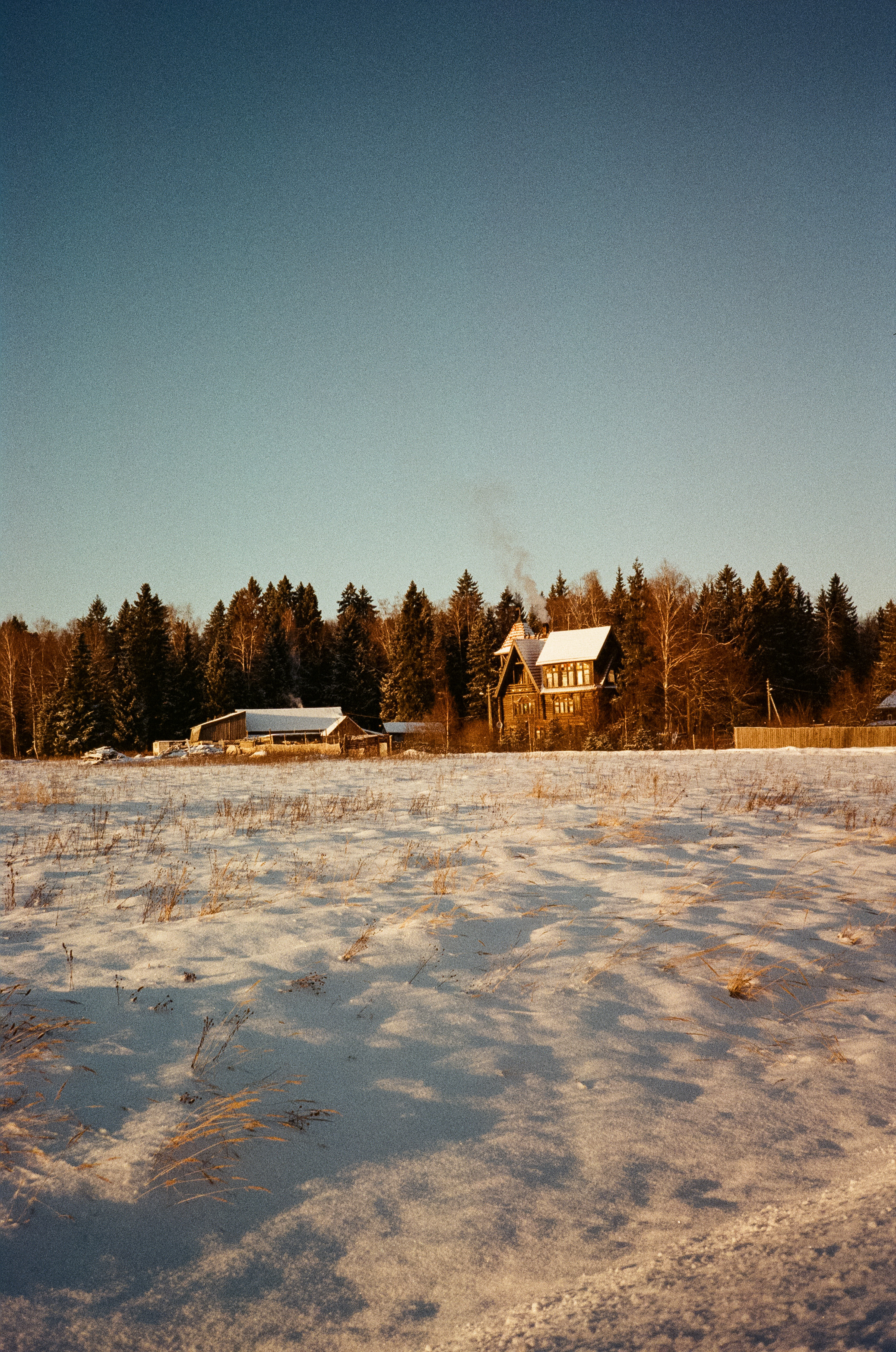 Деревня Лукино. Дорога. Фотограф-документалист Мария Осокина