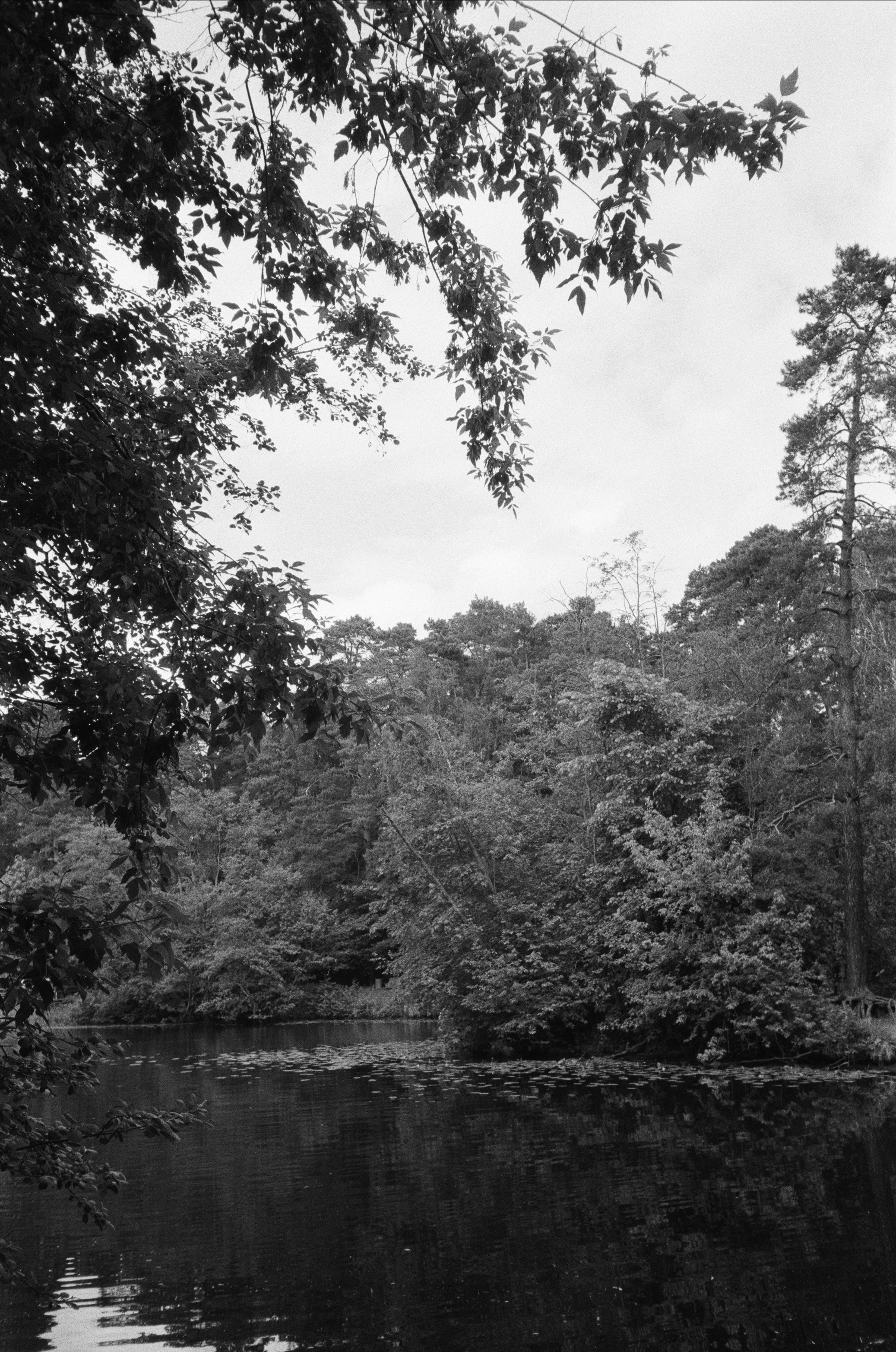 Серебряный Бор. Лето в ч/б. Фотограф-документалист Мария Осокина