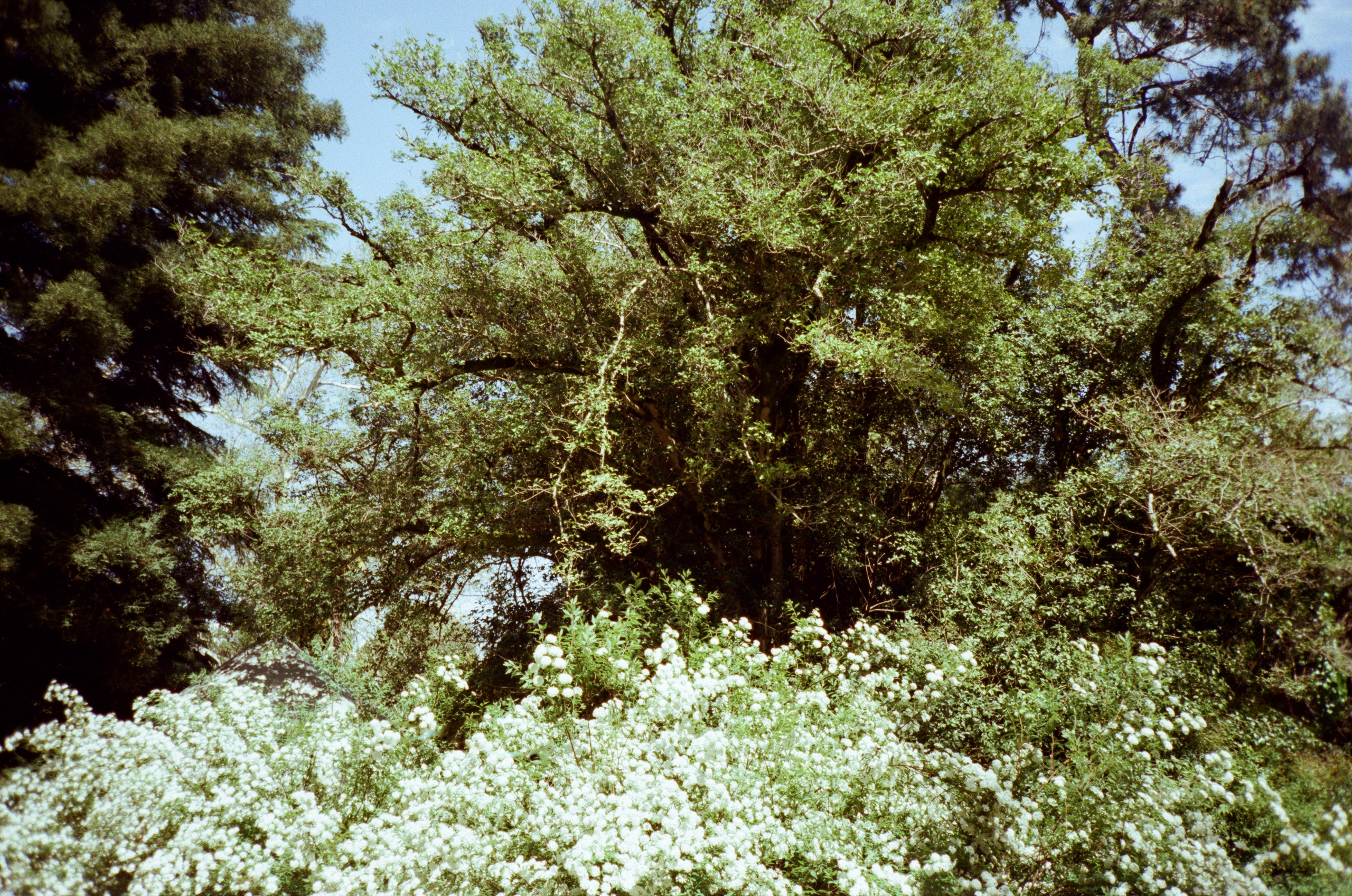 Экзотика Южных культур. Фотограф-документалист Мария Осокина