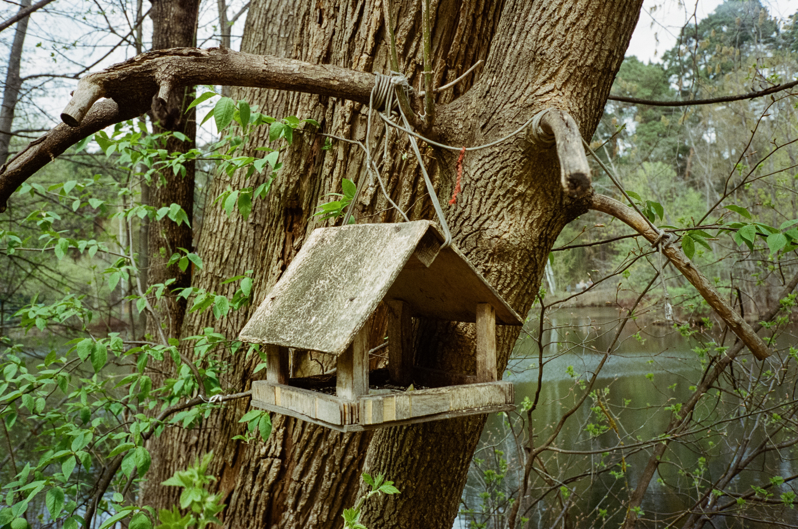 Серебряный бор. Весна. Фотограф-документалист Мария Осокина