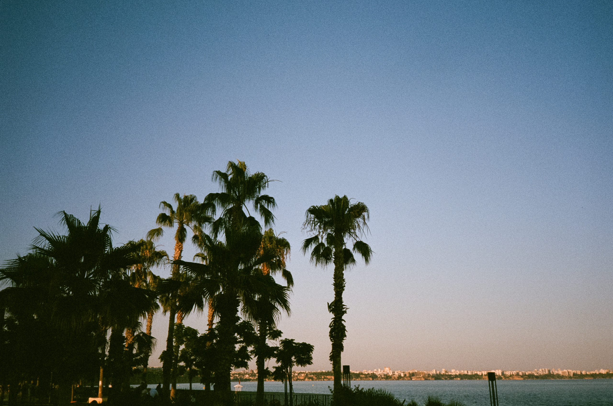 Вечерний город, улочка баров, пальмы и рассвет нового дня. Фотограф-документалист Мария Осокина