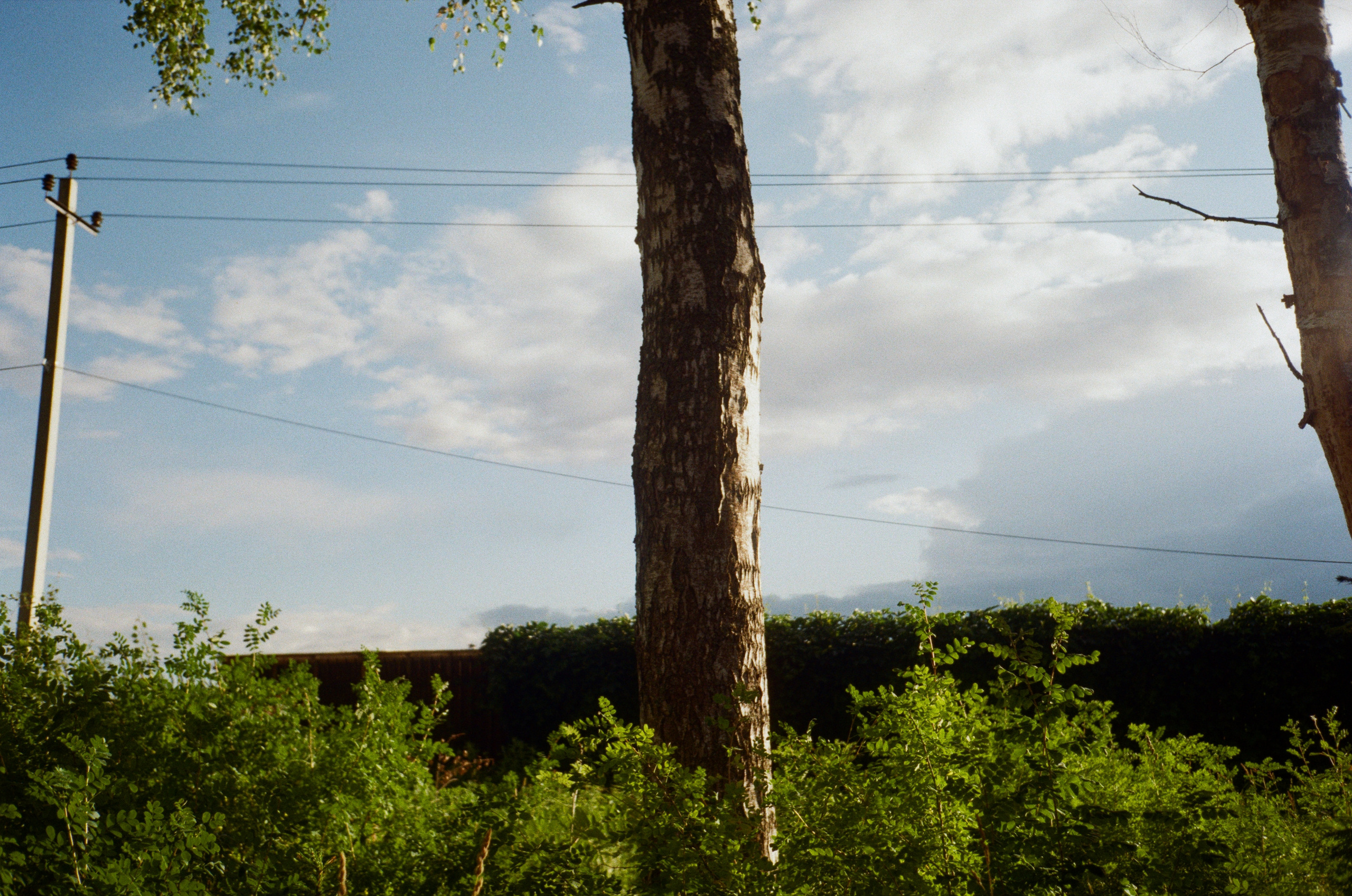 Тихая Заводь. Лес и пляж. Фотограф-документалист Мария Осокина