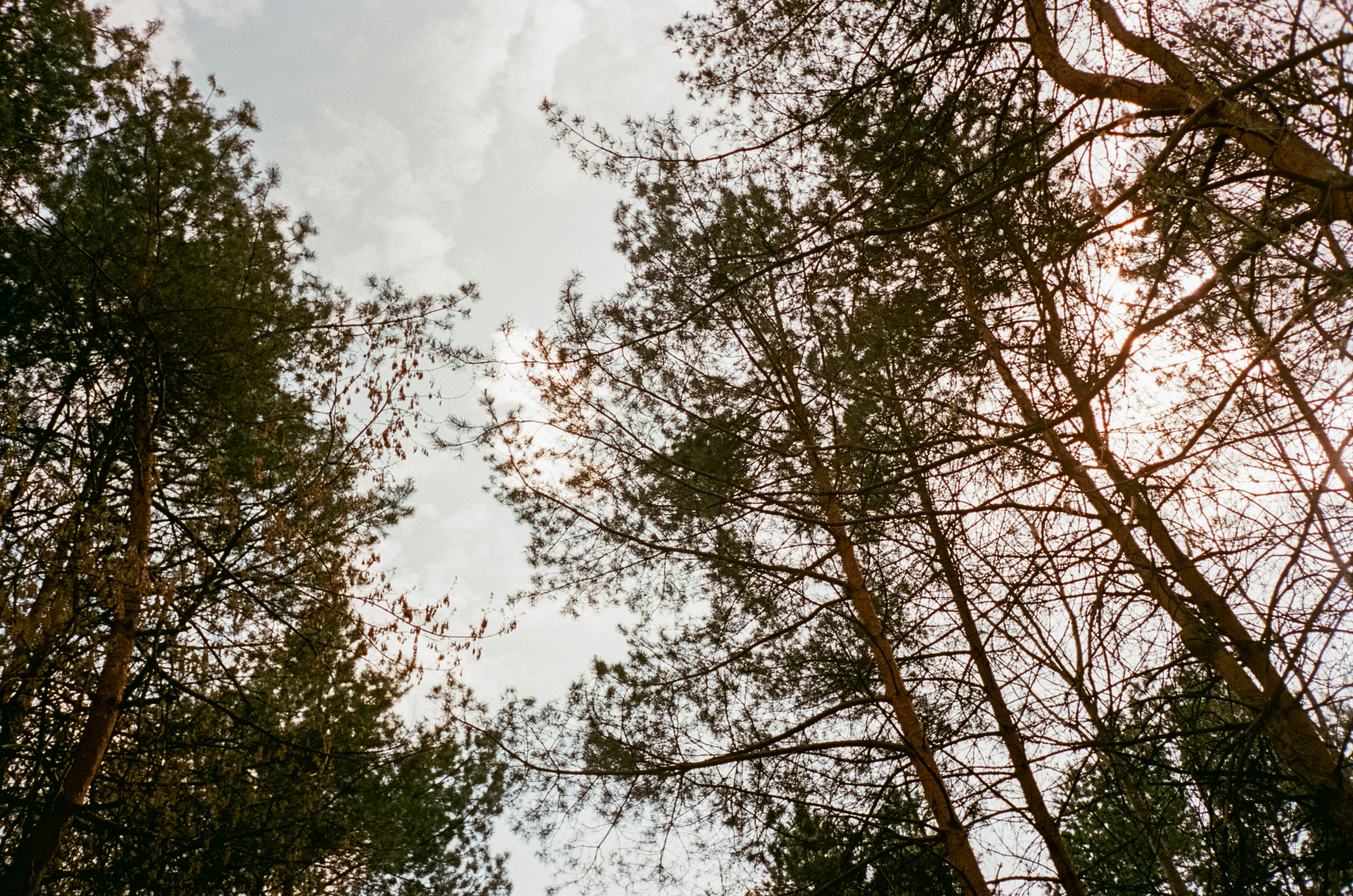 Серебряный Бор. Май. Сепия. Фотограф-документалист Мария Осокина