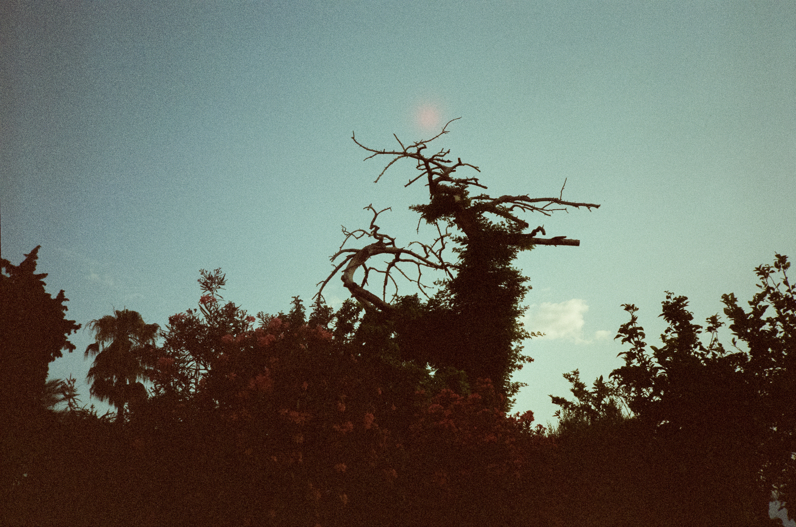 Смотровая площадка, Route Burger House кафе и порт Калеичи. Фотограф-документалист Мария Осокина