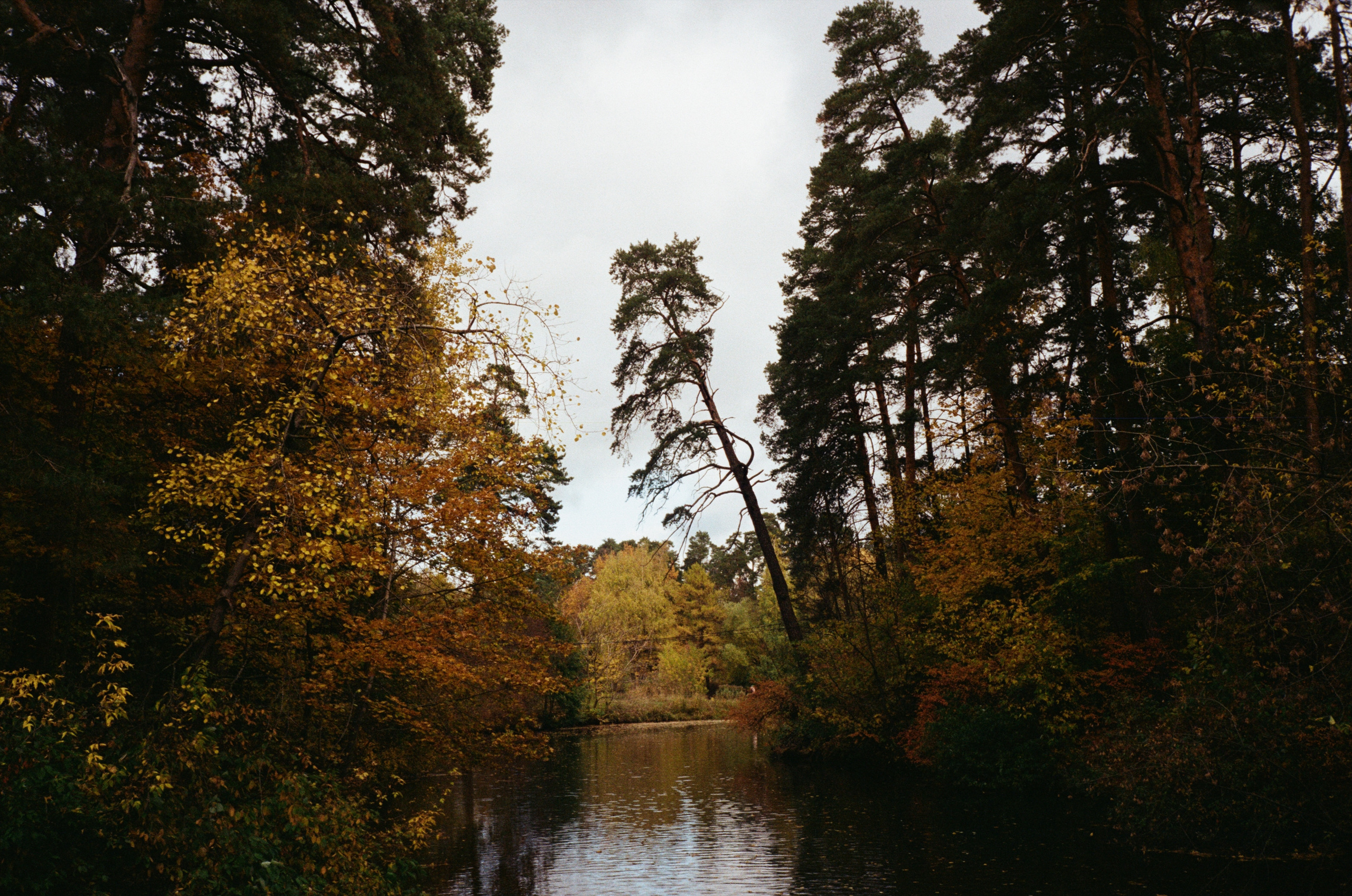 Серебряный Бор. Октябрь. Фотограф-документалист Мария Осокина