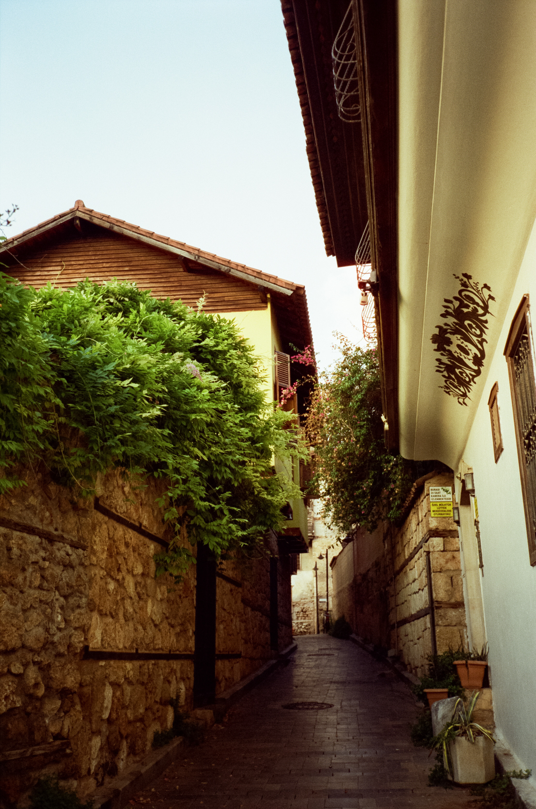 Вечерний Калеичи, Golden hour и закат. Фотограф-документалист Мария Осокина