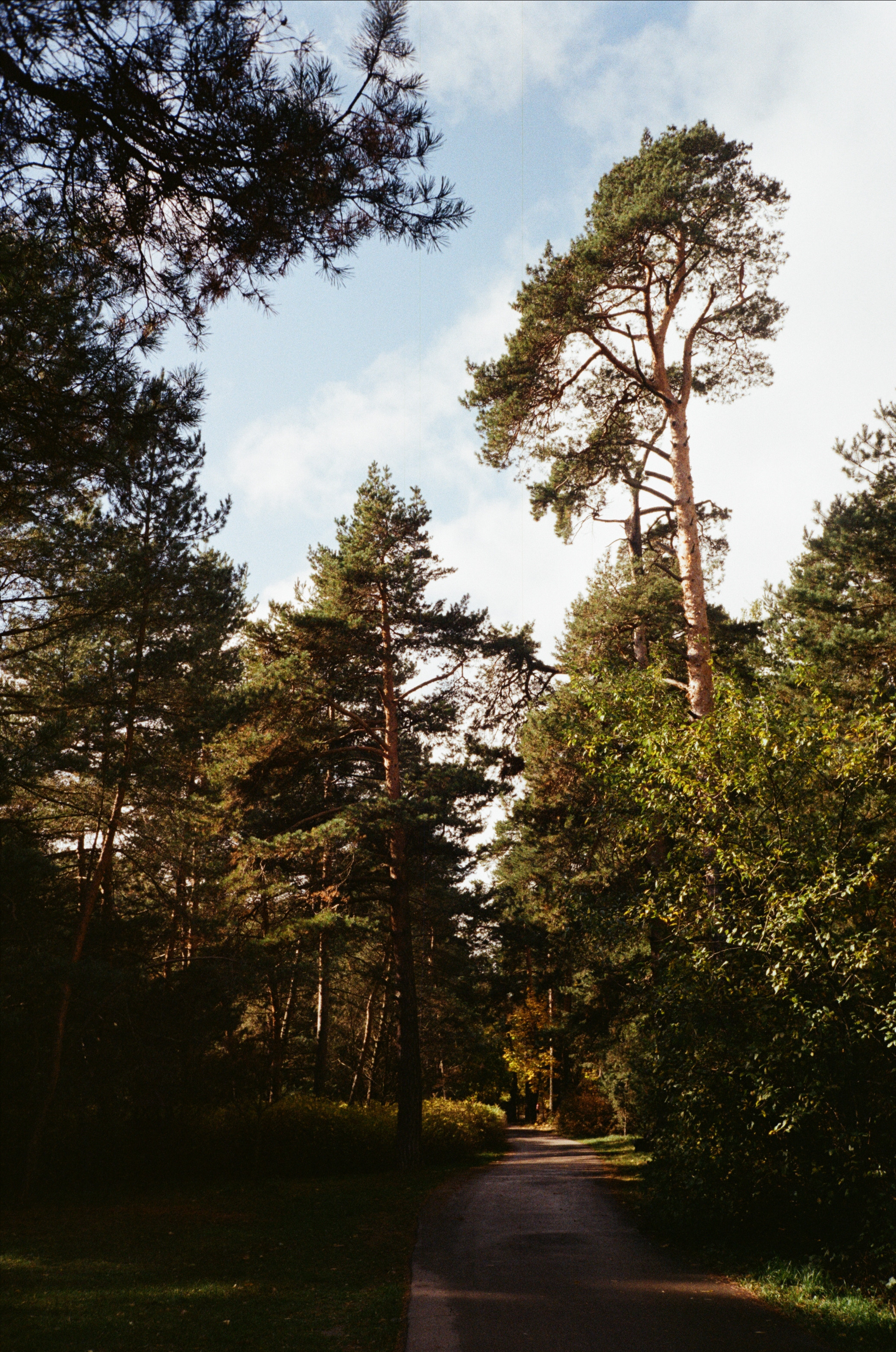 Серебряный Бор. Октябрь. Фотограф-документалист Мария Осокина