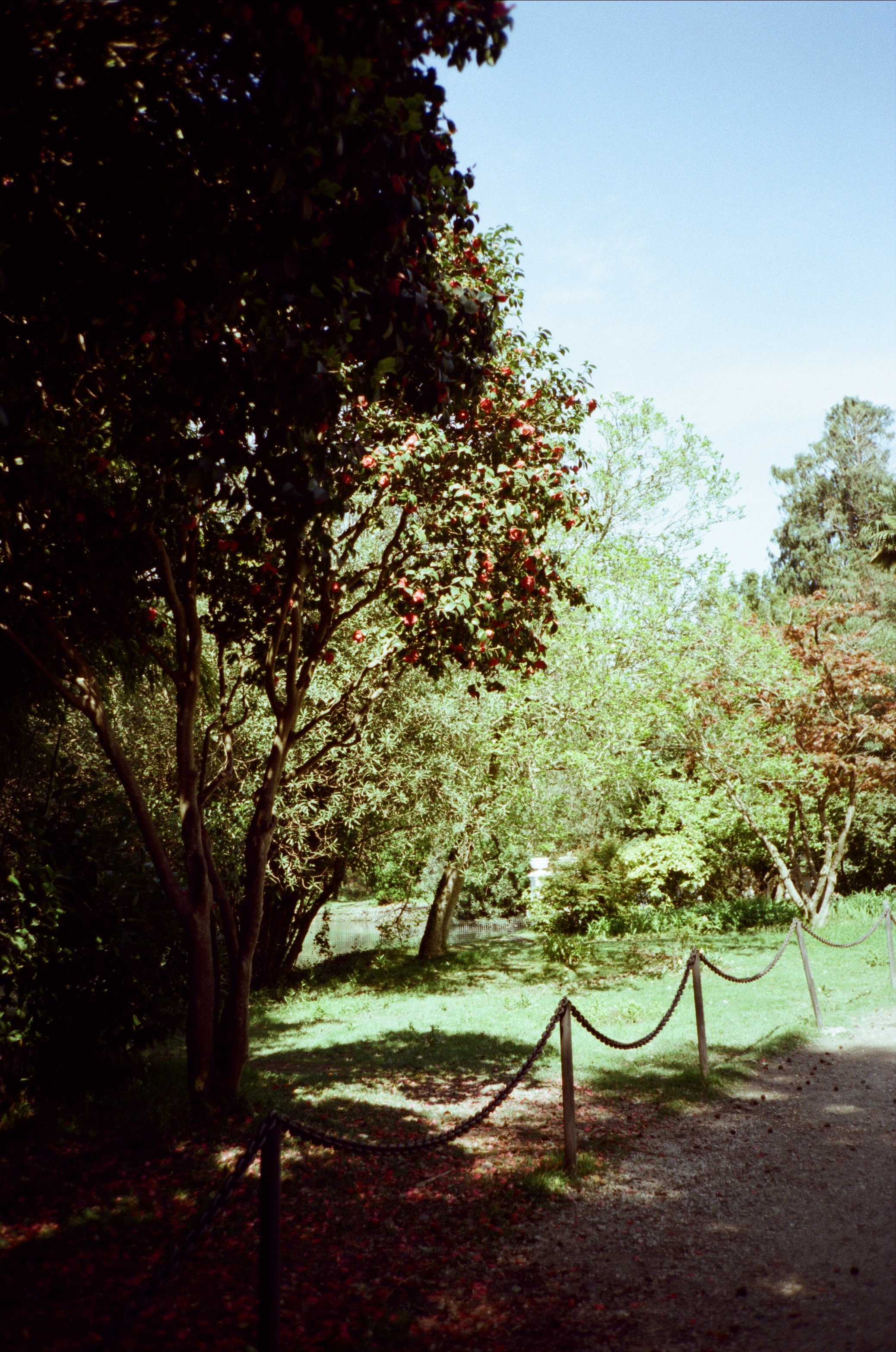 Экзотика Южных культур. Фотограф-документалист Мария Осокина