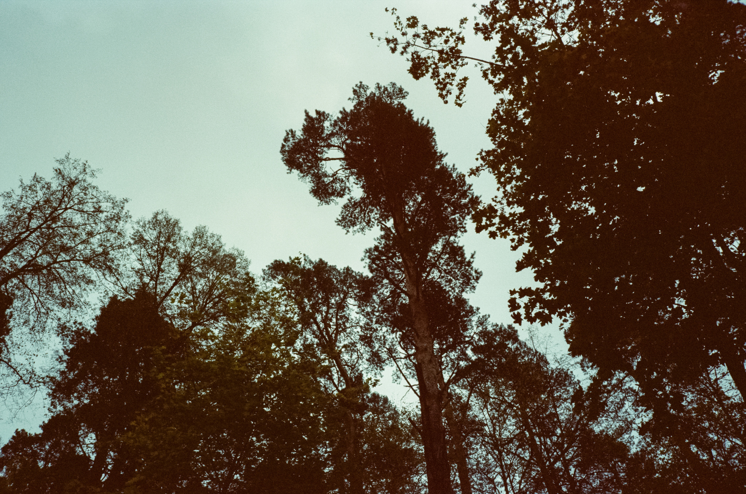 Архангельское. Начало осени. Фотограф-документалист Мария Осокина