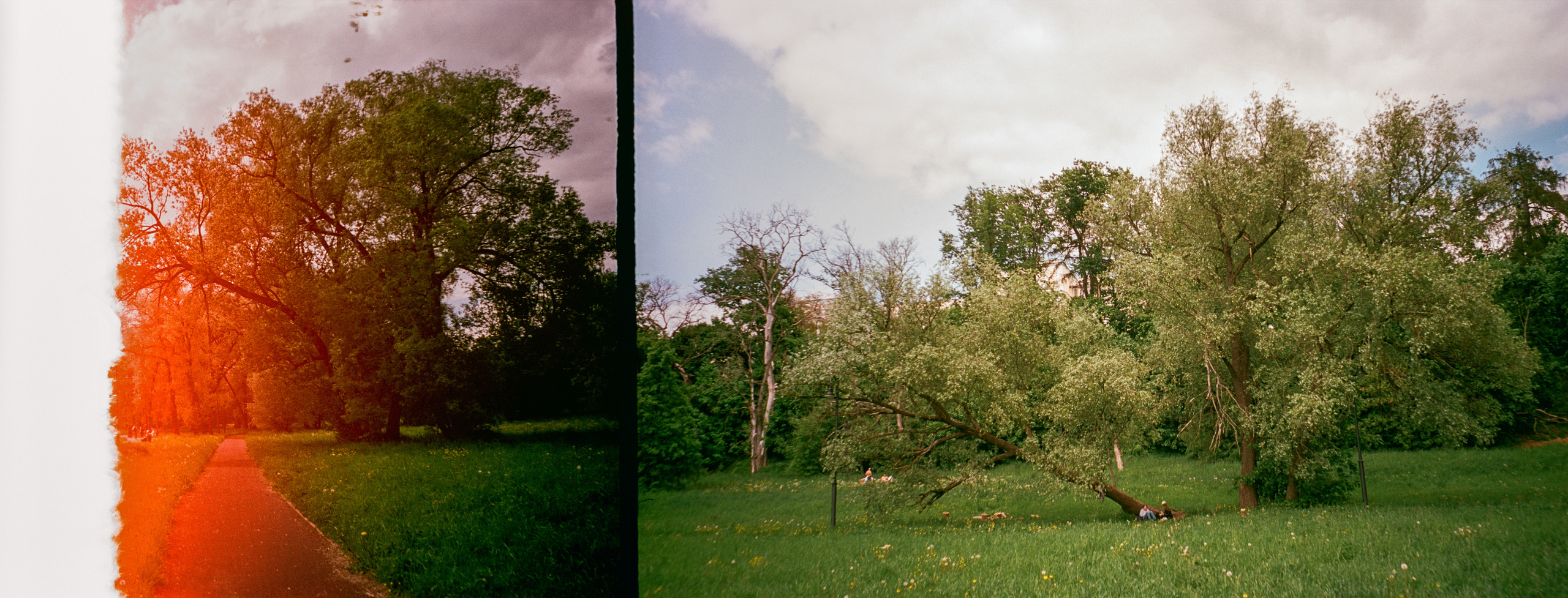 Архангельское. Июнь. Фотограф-документалист Мария Осокина