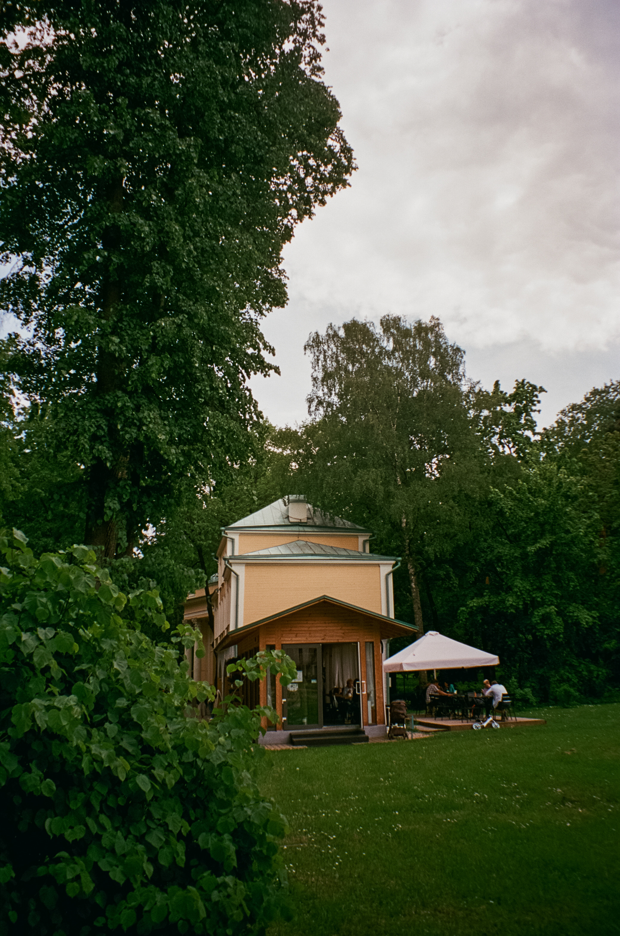 Архангельское. Июнь. Фотограф-документалист Мария Осокина