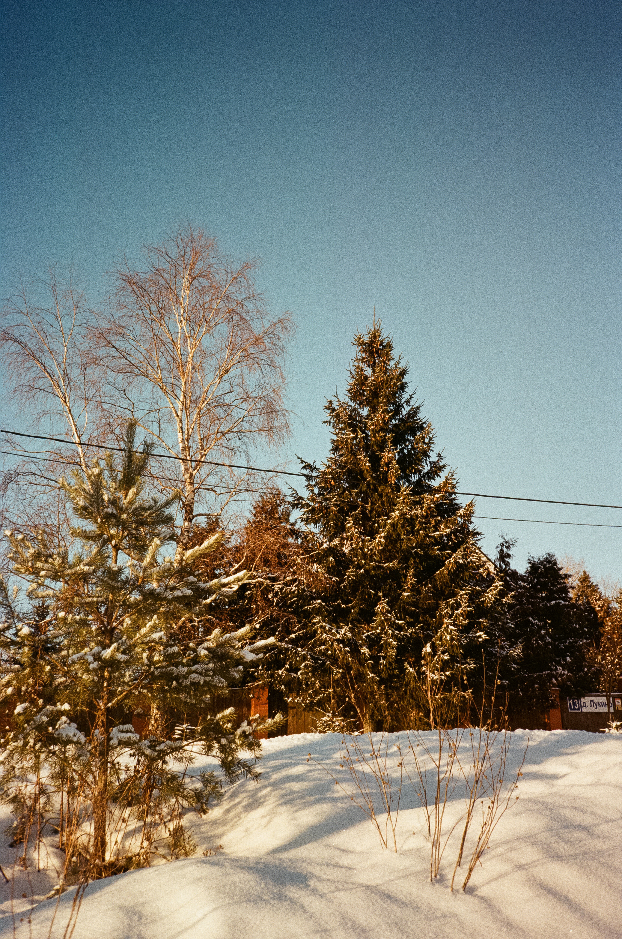 Деревня Лукино. Дорога. Фотограф-документалист Мария Осокина