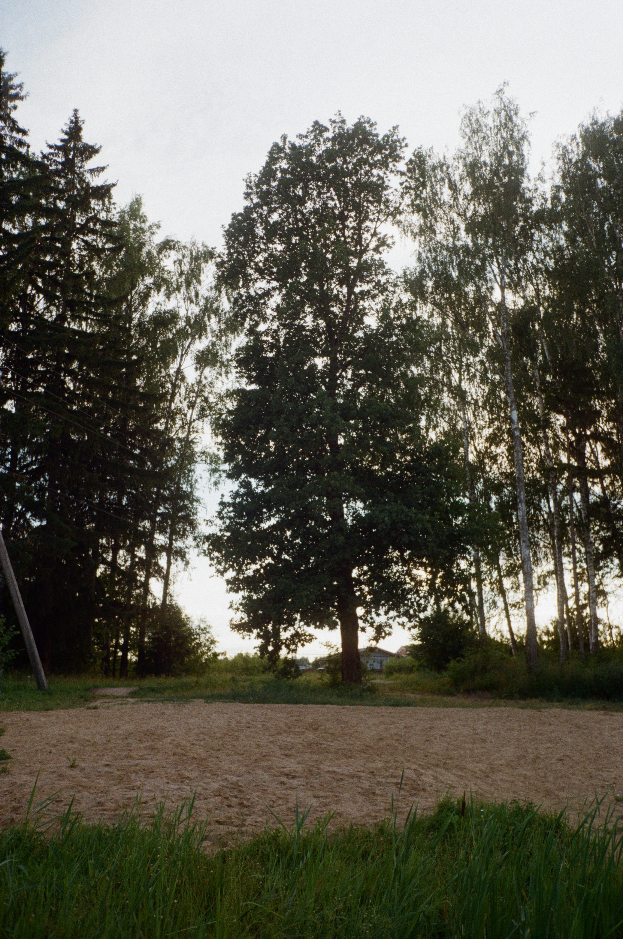Тихая Заводь. Вечерние прогулки. Фотограф-документалист Мария Осокина