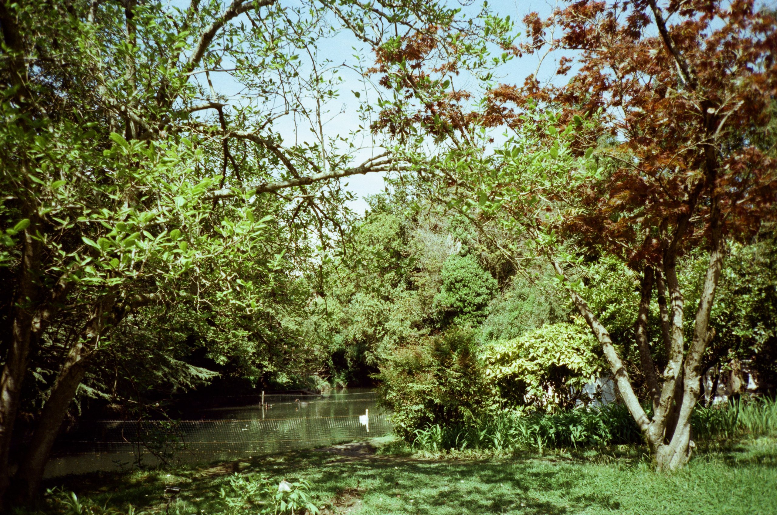 Экзотика Южных культур. Фотограф-документалист Мария Осокина