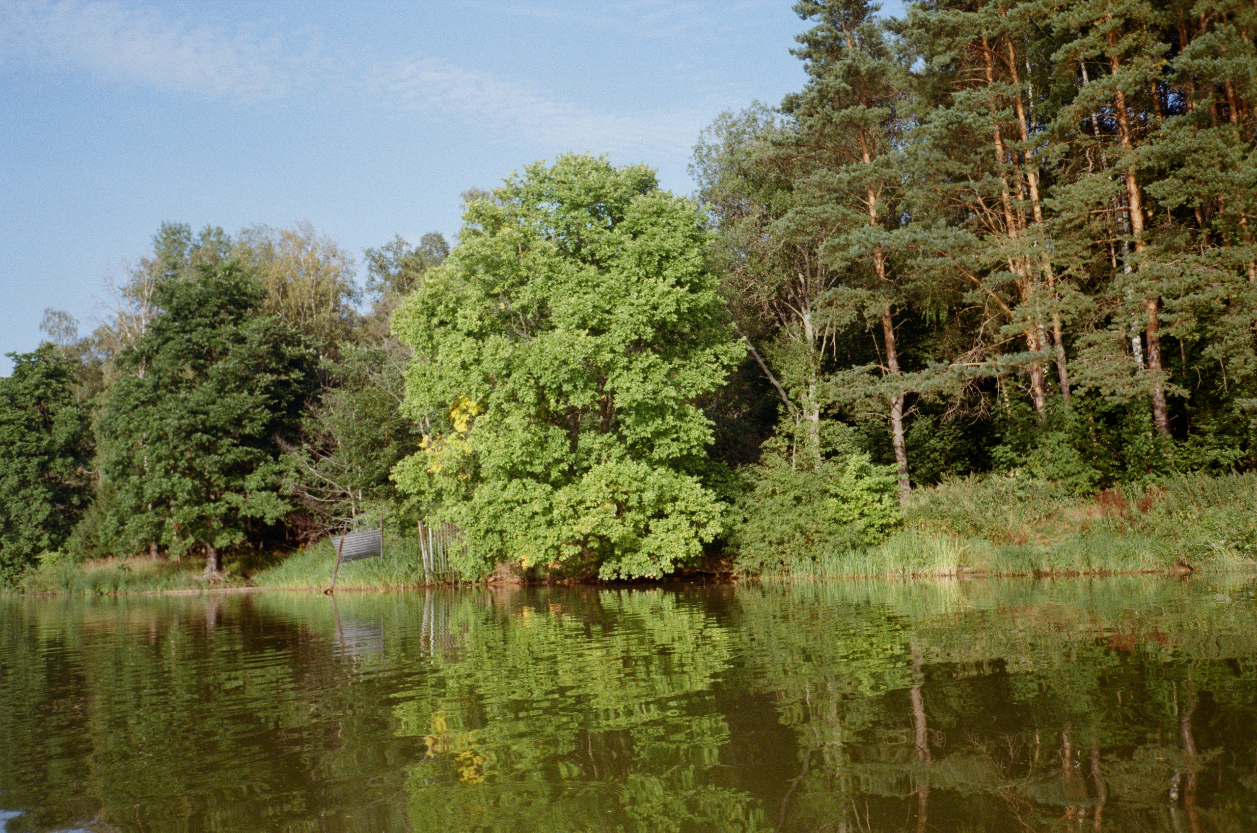 Тихая Заводь. Вечерний sup. Фотограф-документалист Мария Осокина