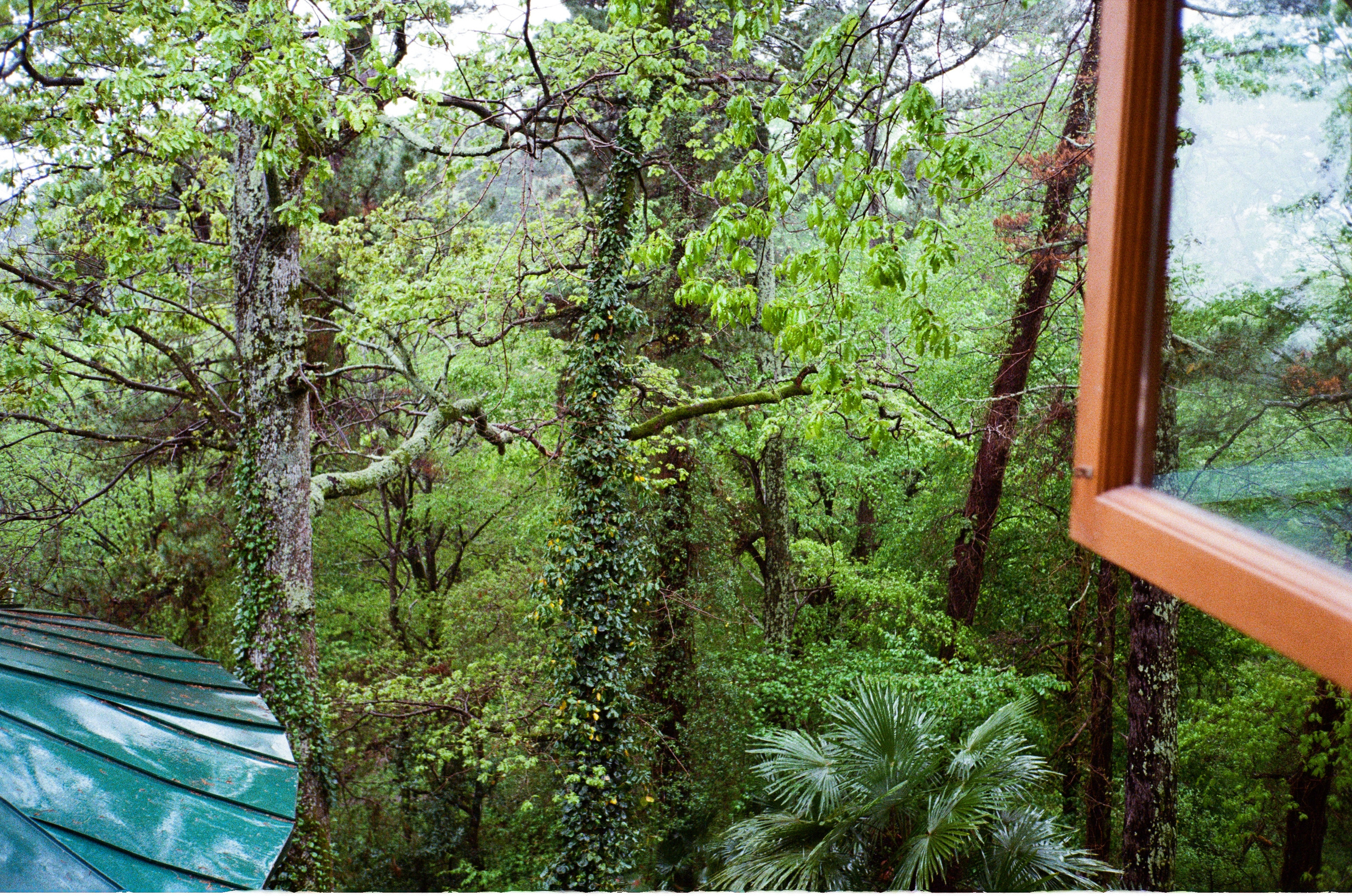 Сочинская дача Сталина. Фотограф-документалист Мария Осокина