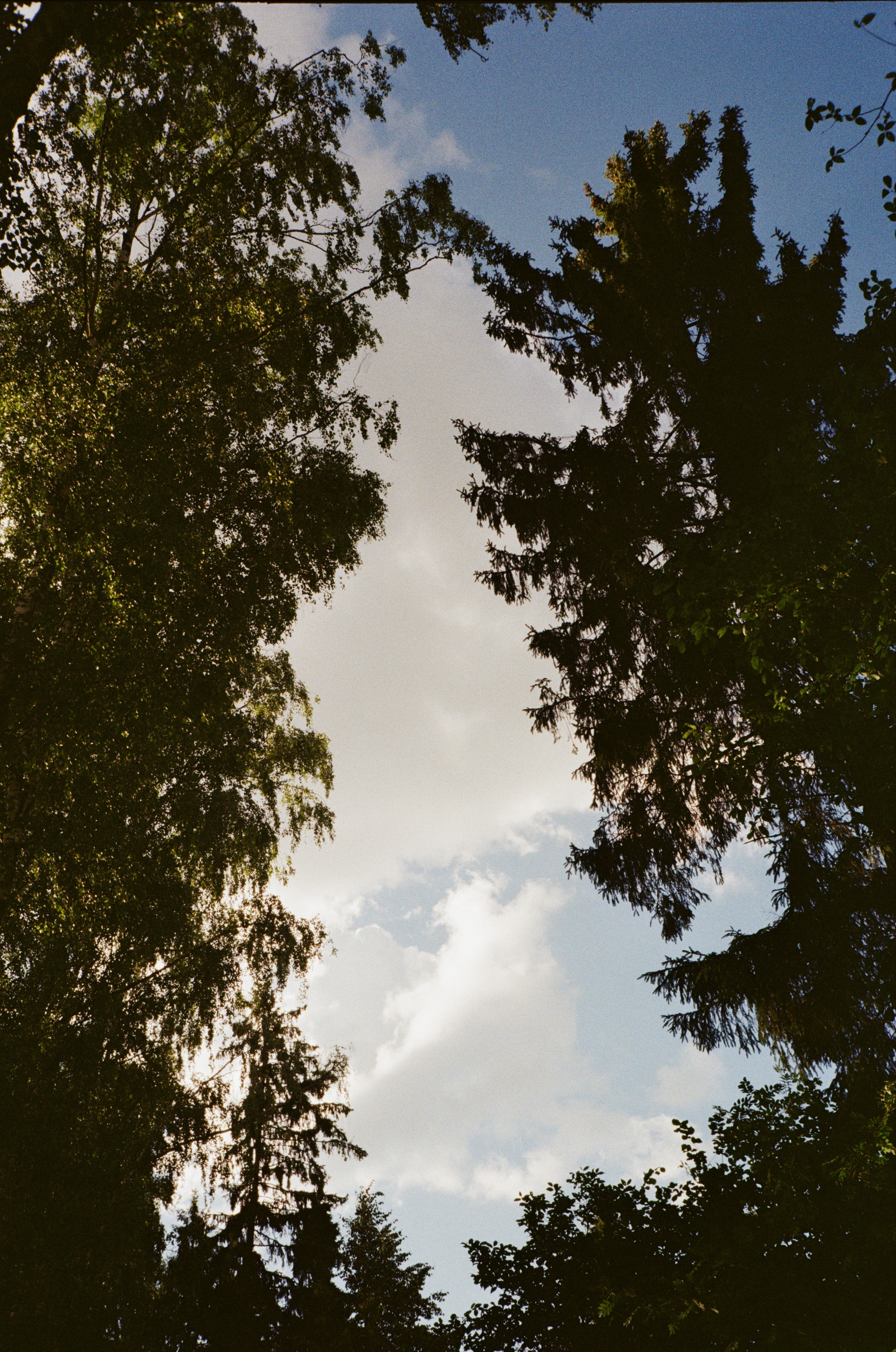 Тихая Заводь. Вечерние прогулки. Фотограф-документалист Мария Осокина