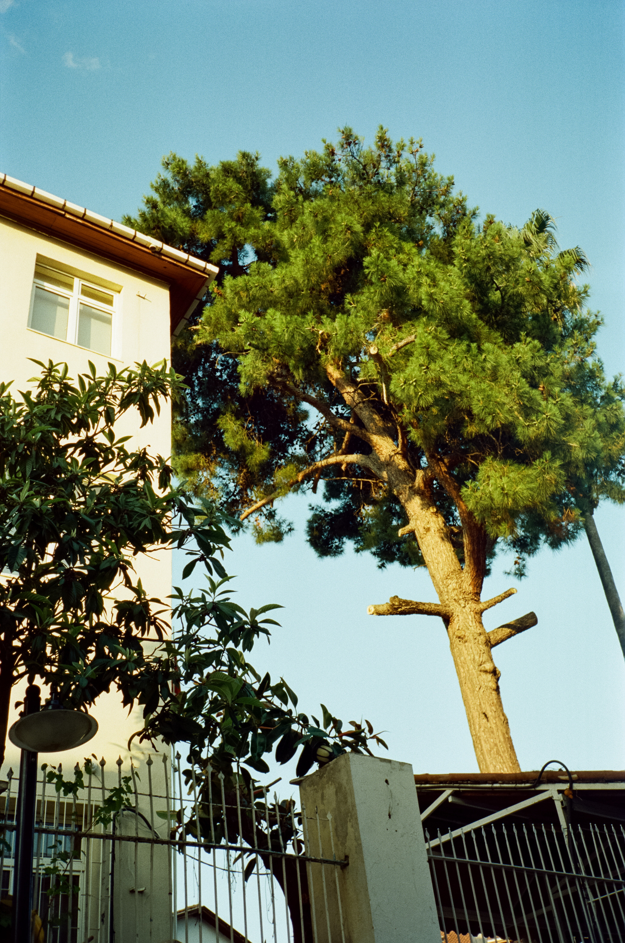 Атмосфера старого города, улочки и кафе Калеичи. Фотограф-документалист Мария Осокина