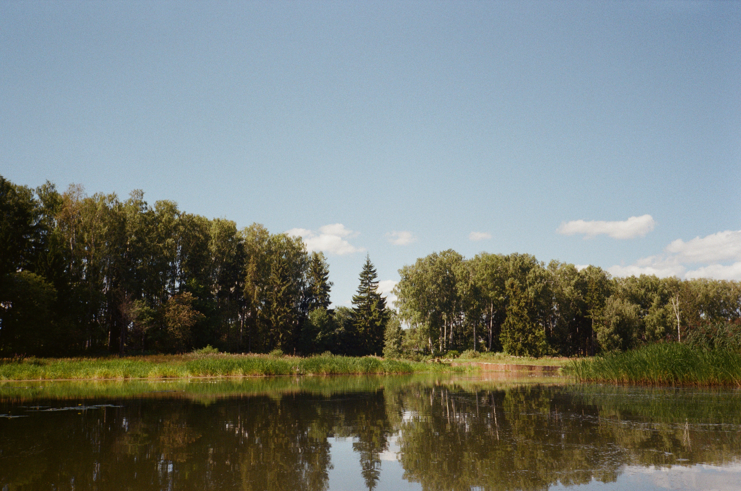 Тихая заводь. Сапборд. Фотограф-документалист Мария Осокина