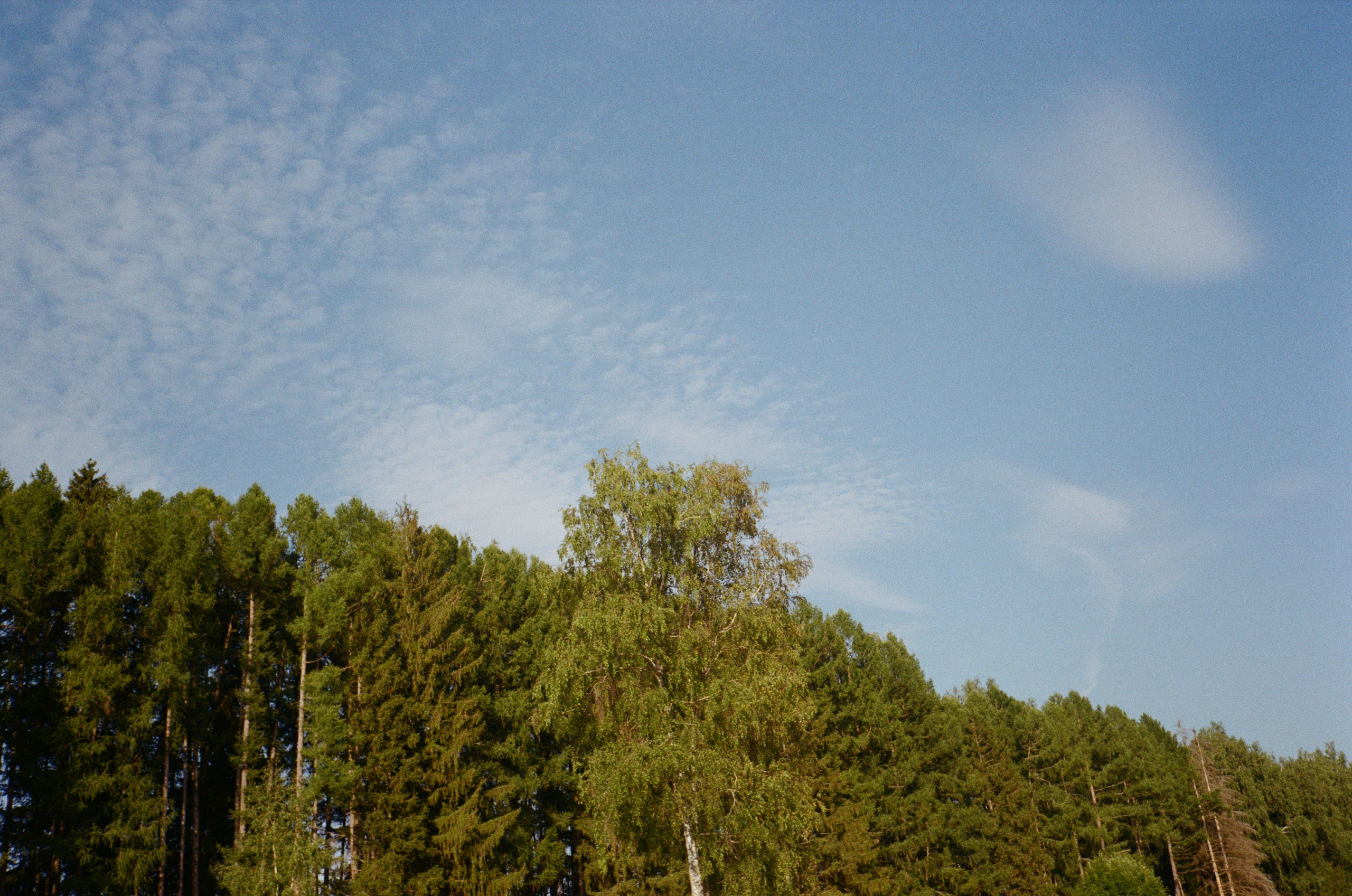 Тихая Заводь. Вечерний sup. Фотограф-документалист Мария Осокина