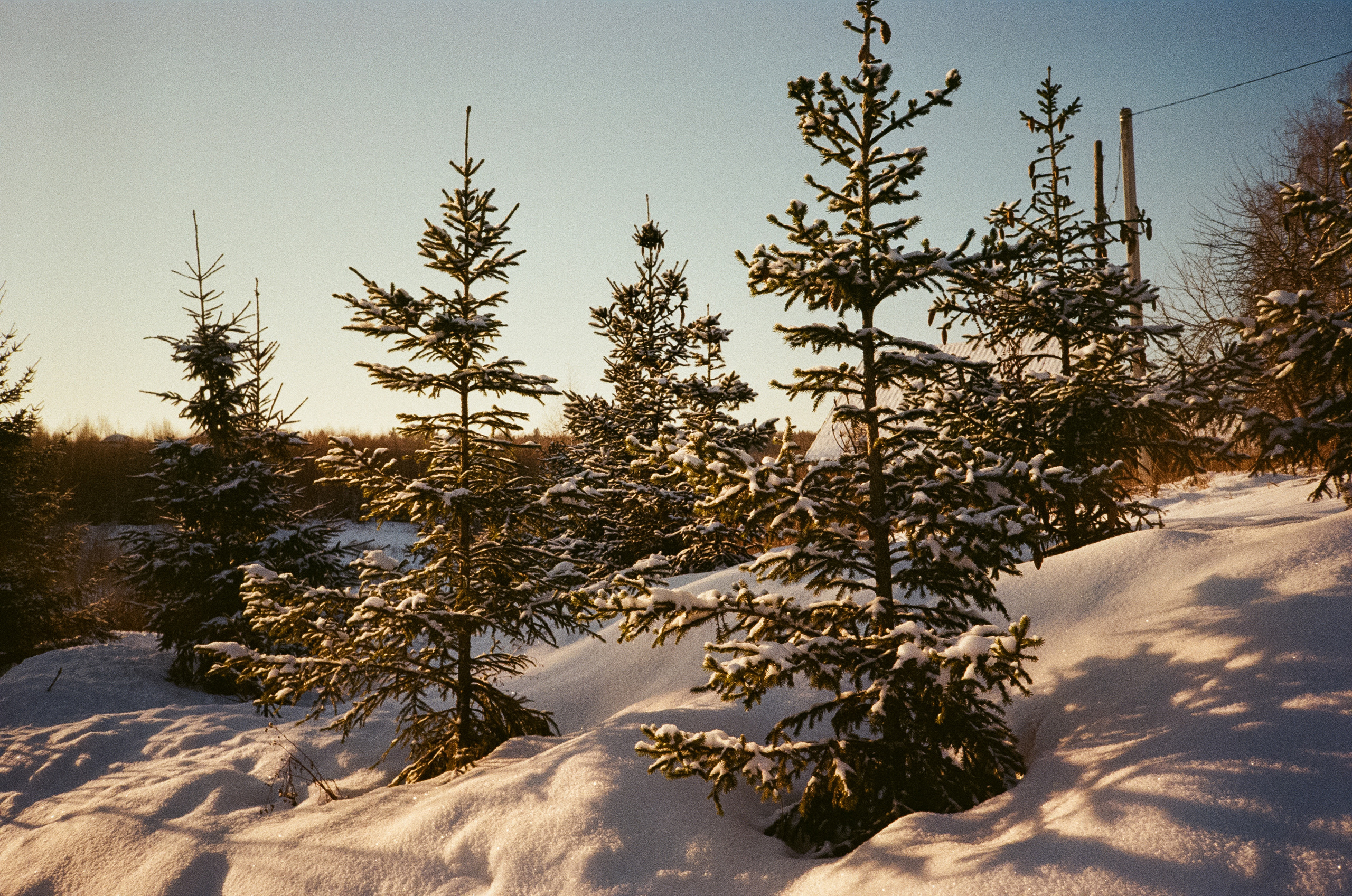 Деревня Лукино. Дорога. Фотограф-документалист Мария Осокина