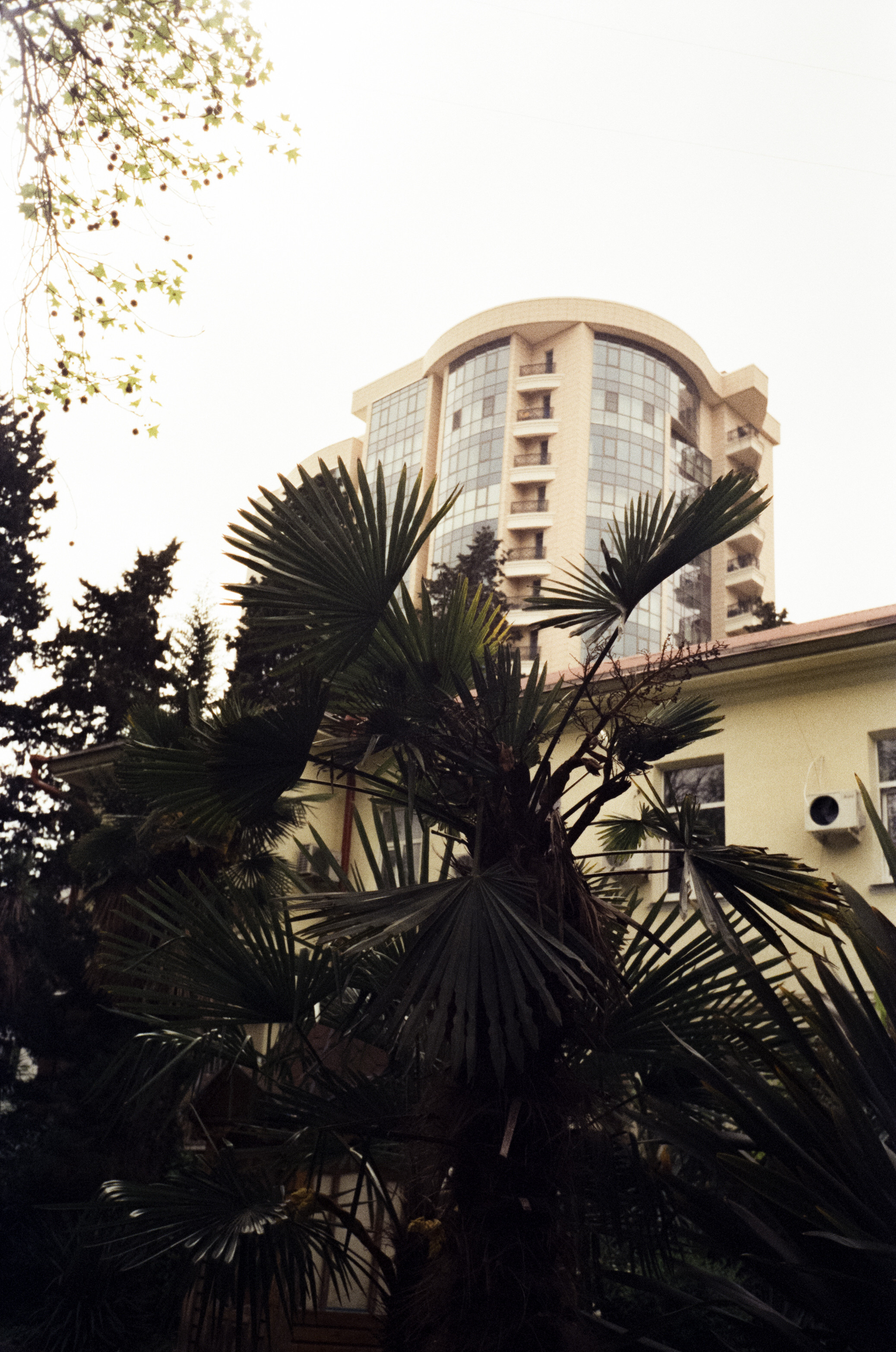 Комсомольский сквер, улочки Сочи и морской порт. Фотограф-документалист Мария Осокина