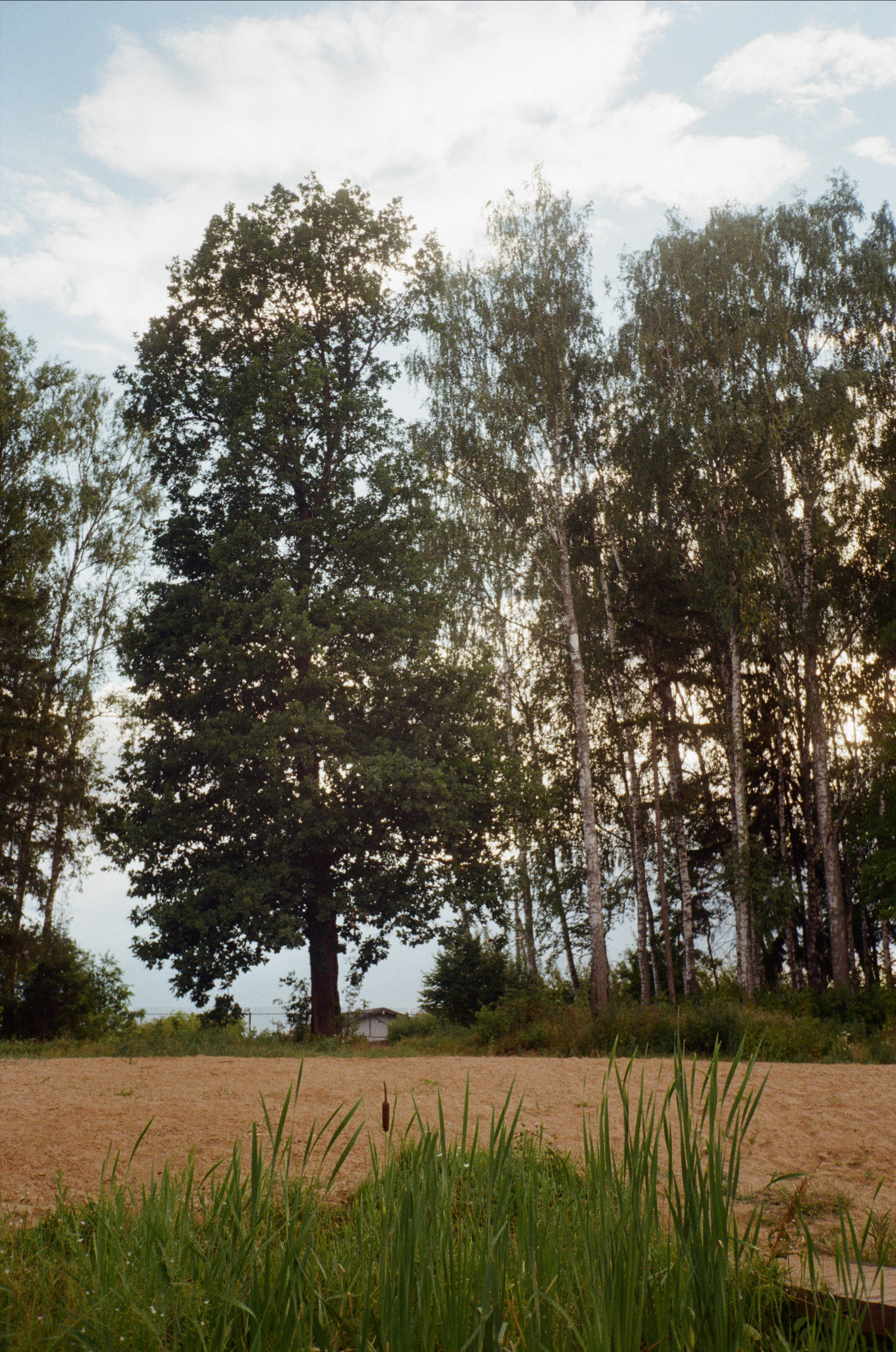 Тихая Заводь. Лес и пляж. Фотограф-документалист Мария Осокина