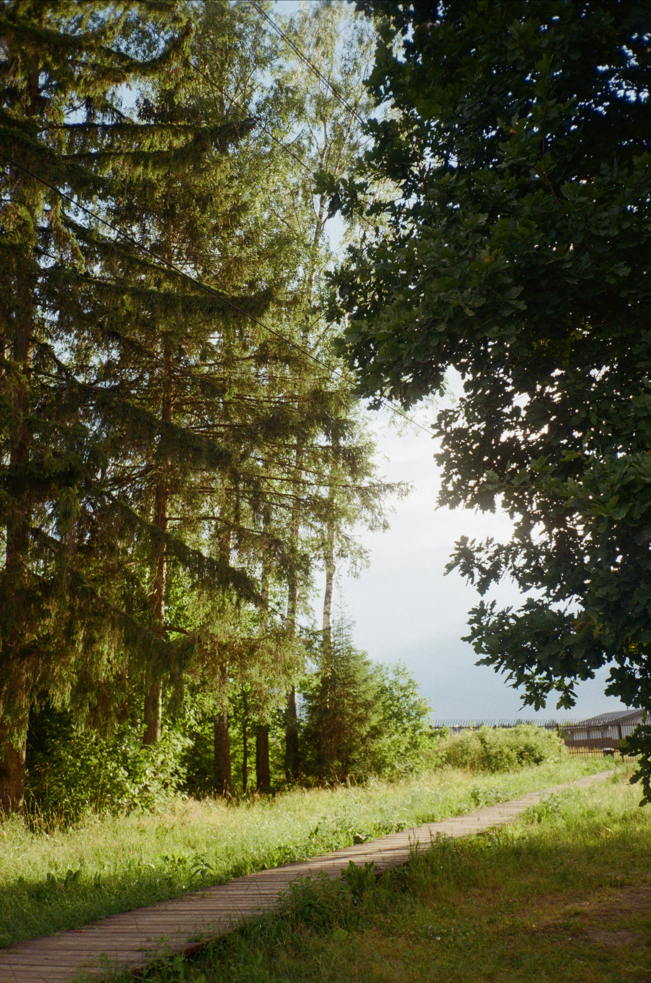 Тихая Заводь. Лес и пляж. Фотограф-документалист Мария Осокина
