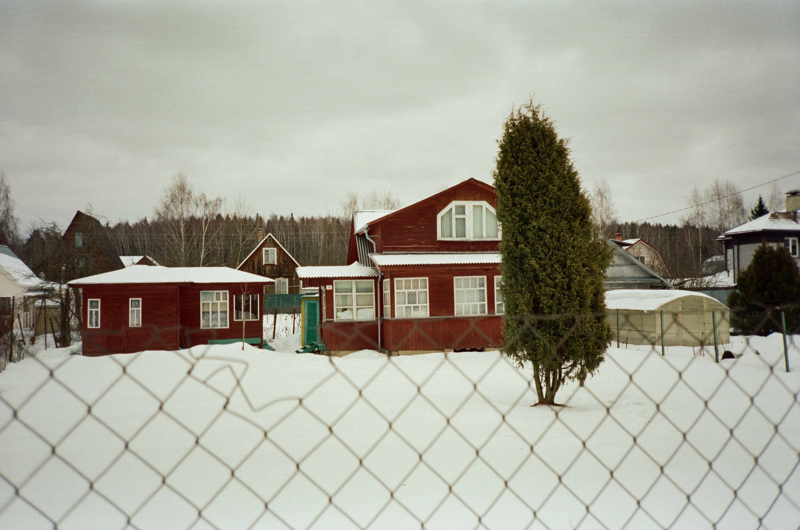 Давыдовское. Зима. Фотограф-документалист Мария Осокина
