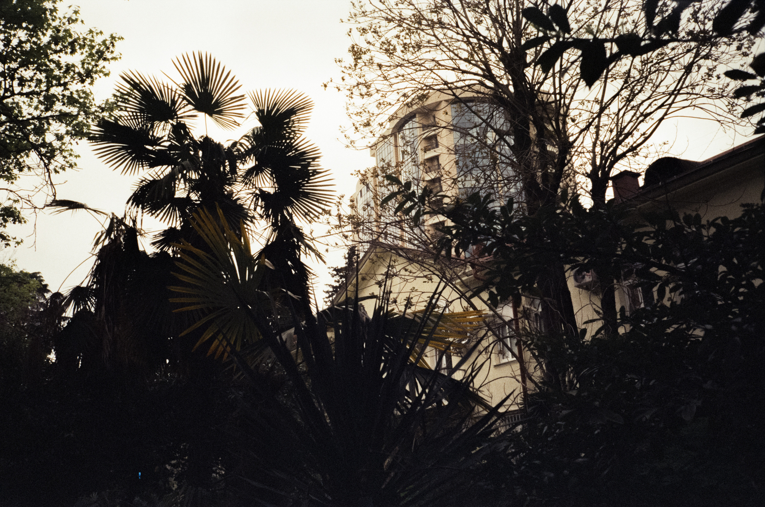 Комсомольский сквер, улочки Сочи и морской порт. Фотограф-документалист Мария Осокина