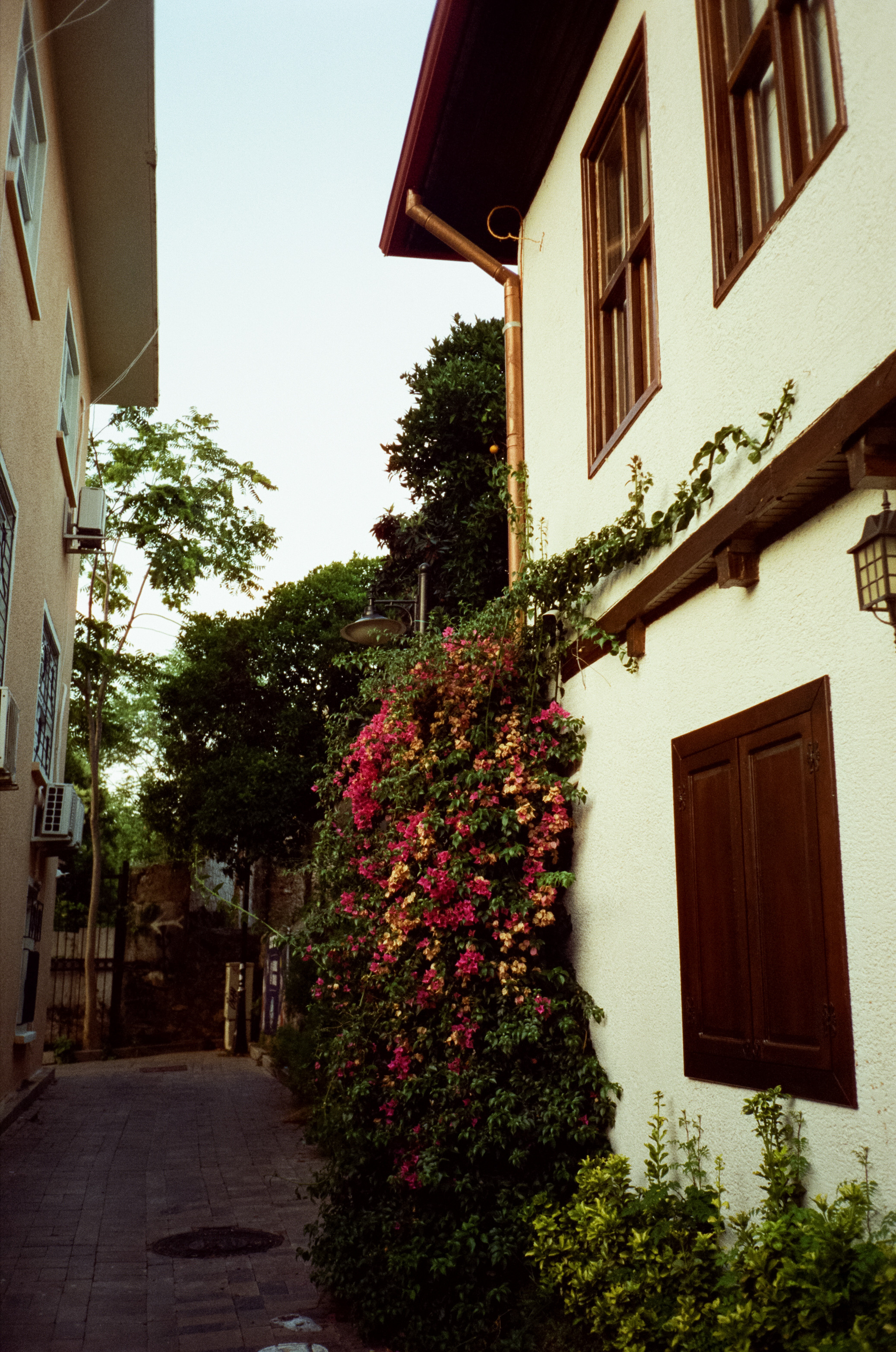 Вечерний Калеичи, Golden hour и закат. Фотограф-документалист Мария Осокина