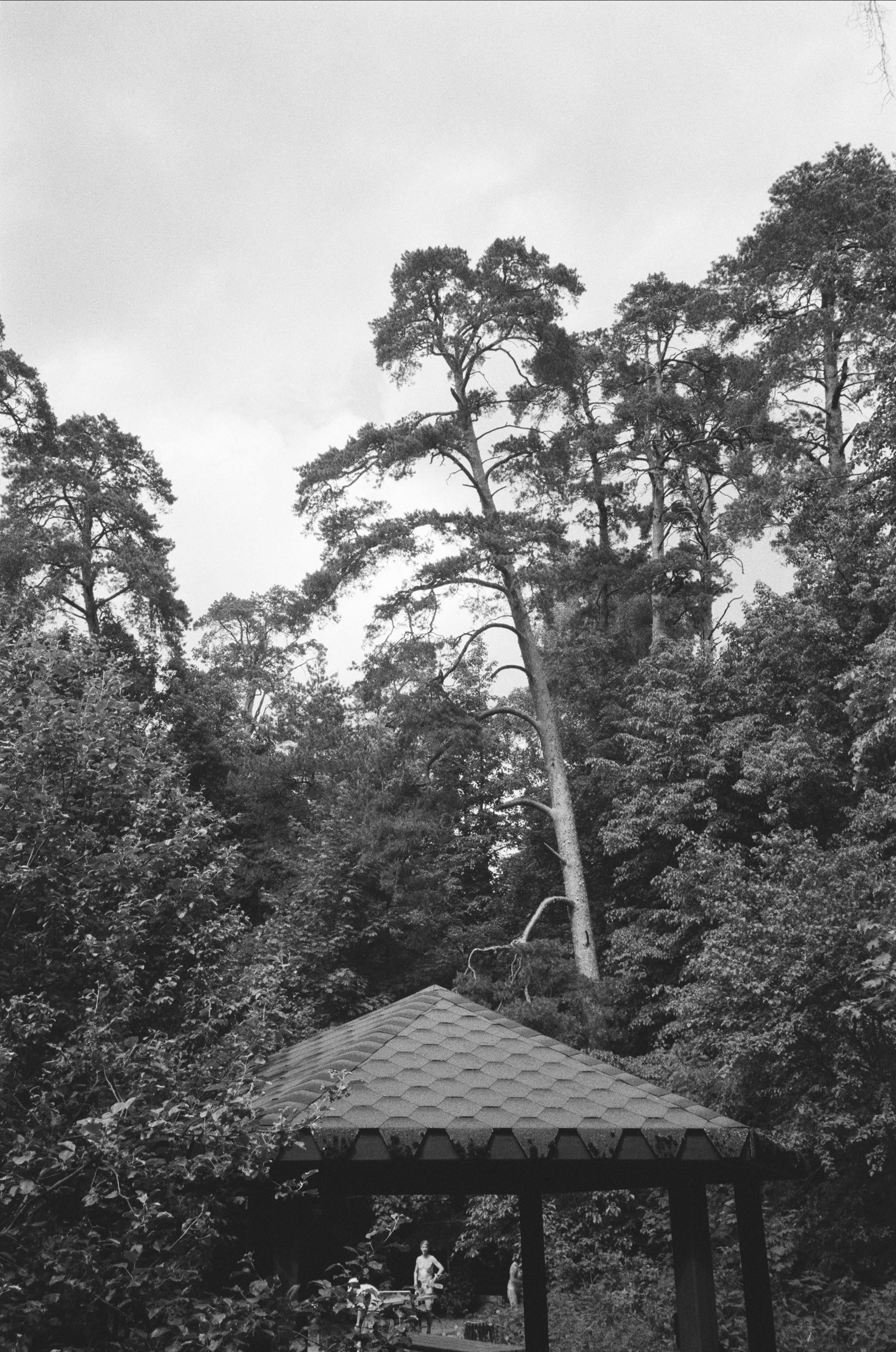 Серебряный Бор. Лето в ч/б. Фотограф-документалист Мария Осокина