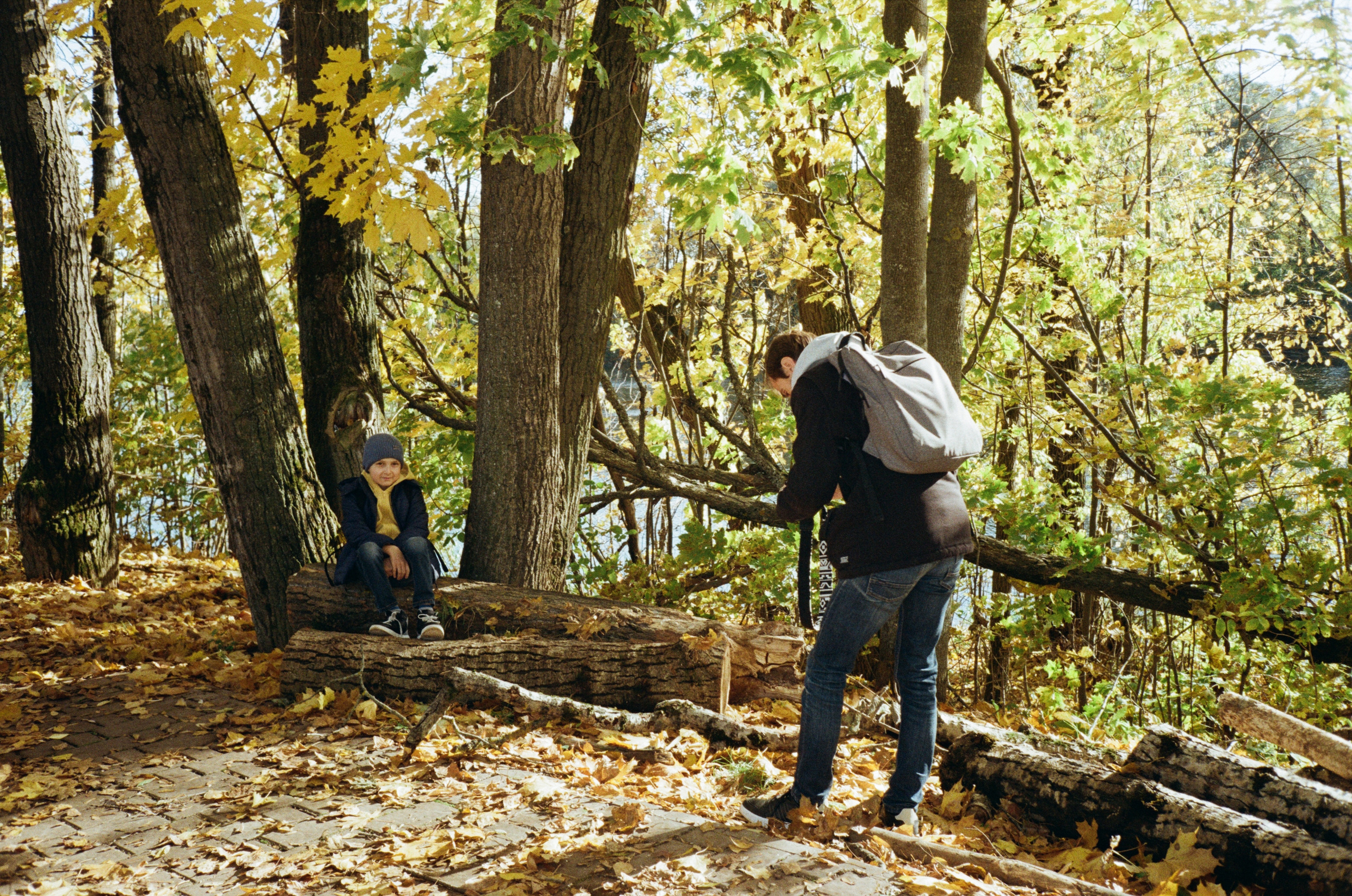 Архангельское. Золотая осень. Фотограф-документалист Мария Осокина