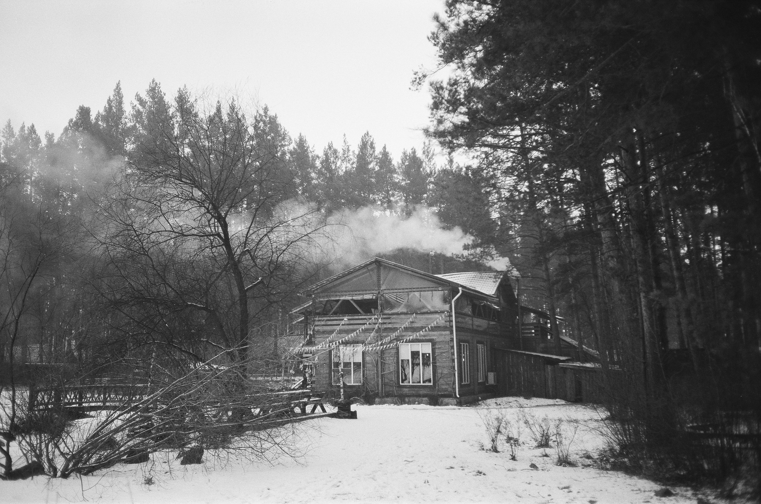 Деревня Берендеевка и кафе Лампа в верхах Алтая. Горы и поля Чемала. Фотограф-документалист Мария Осокина