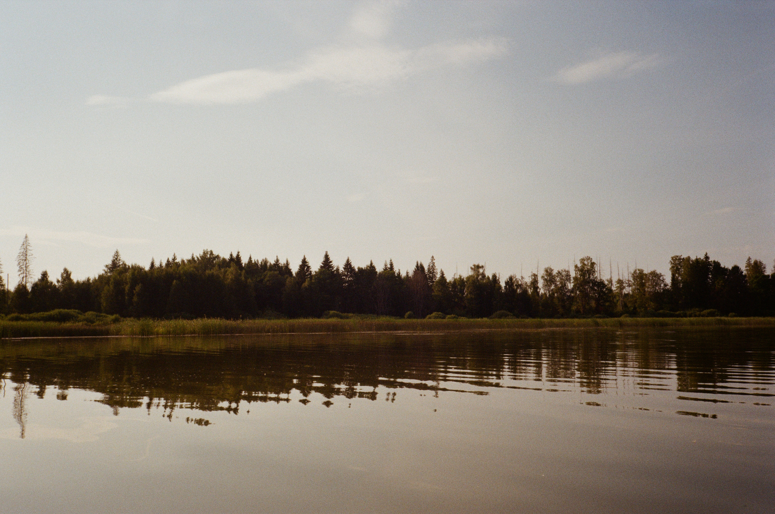 Тихая Заводь. Вечерний sup. Фотограф-документалист Мария Осокина