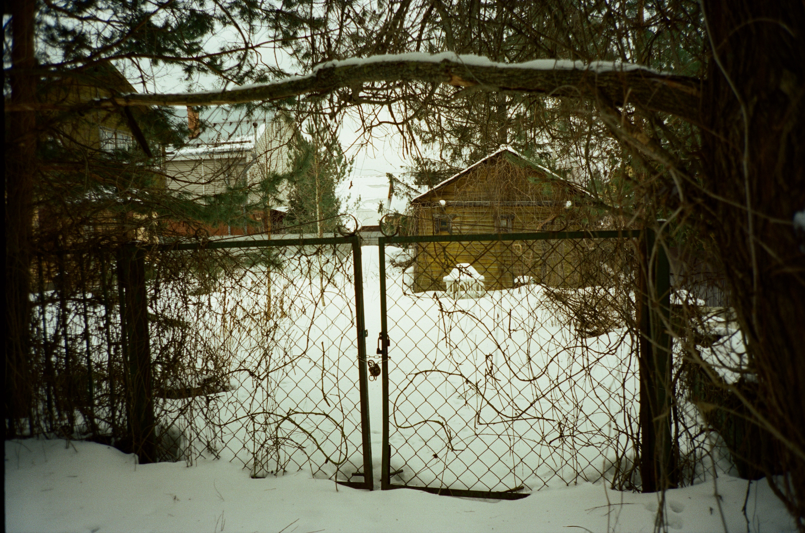 Давыдовское. Зима. Фотограф-документалист Мария Осокина