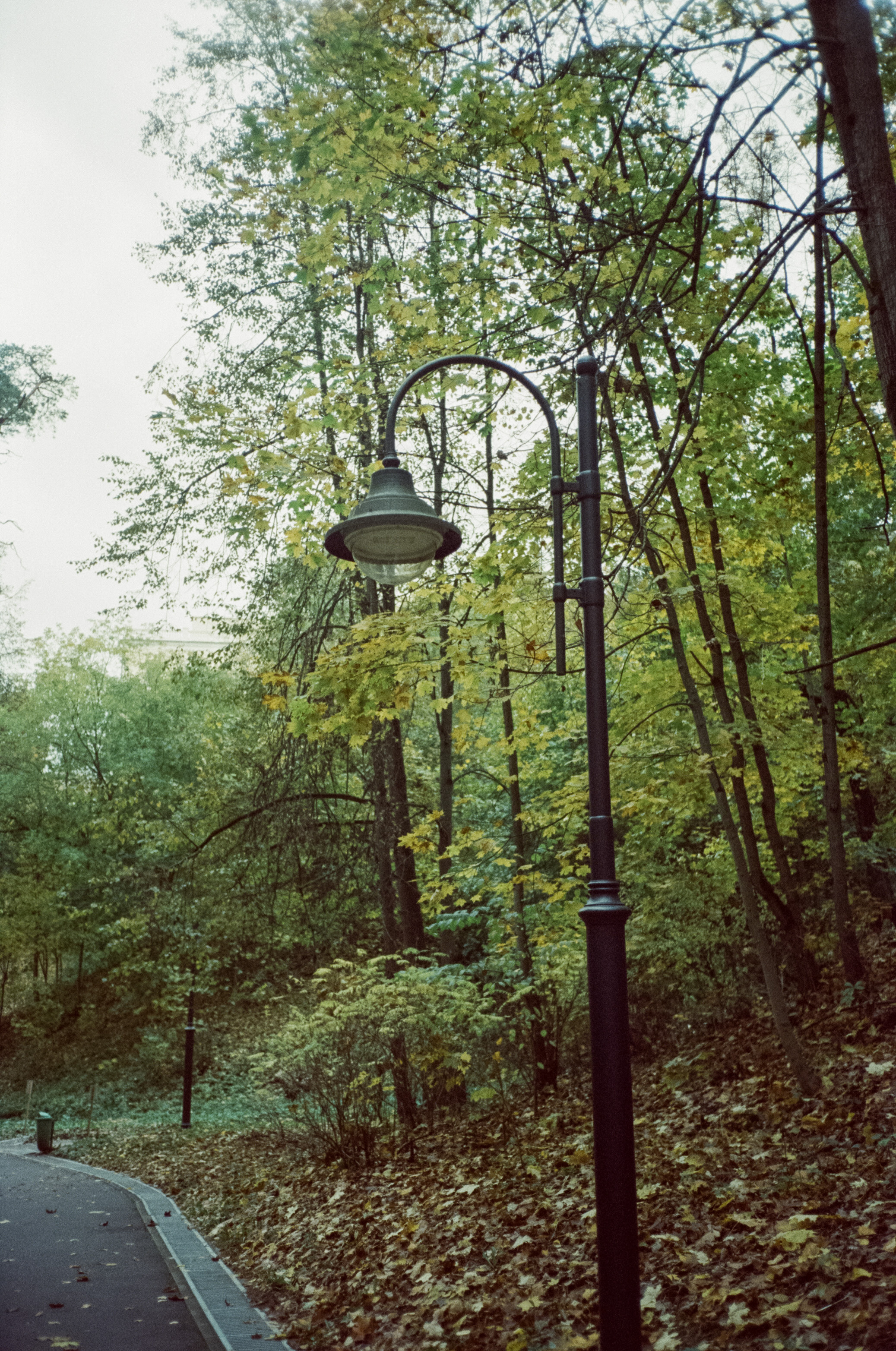 Архангельское. Начало осени. Фотограф-документалист Мария Осокина