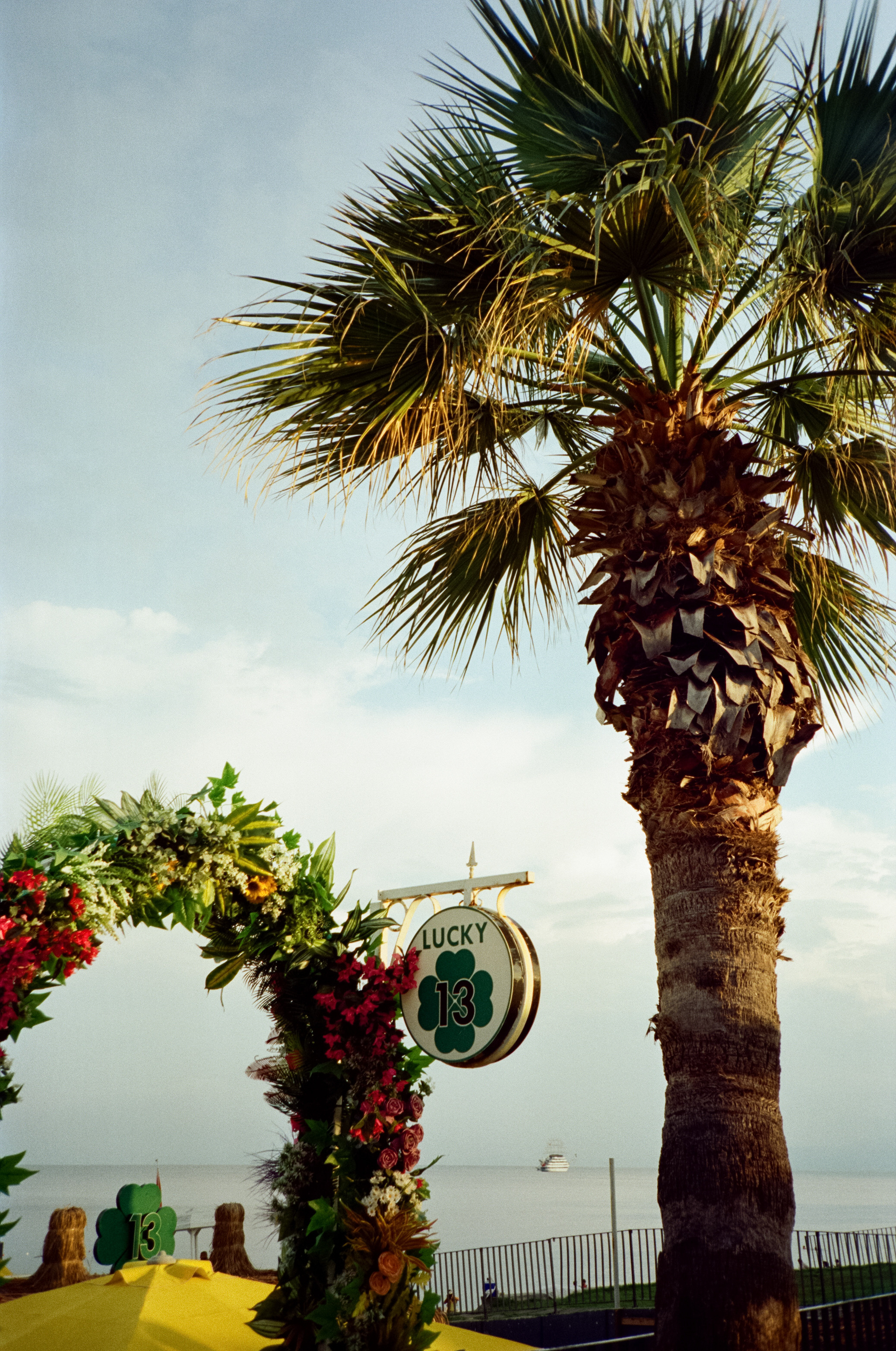 Вечерняя прогулка по набережной Коньяалты: море, корабли, пальмы и жел. Фотограф-документалист Мария Осокина