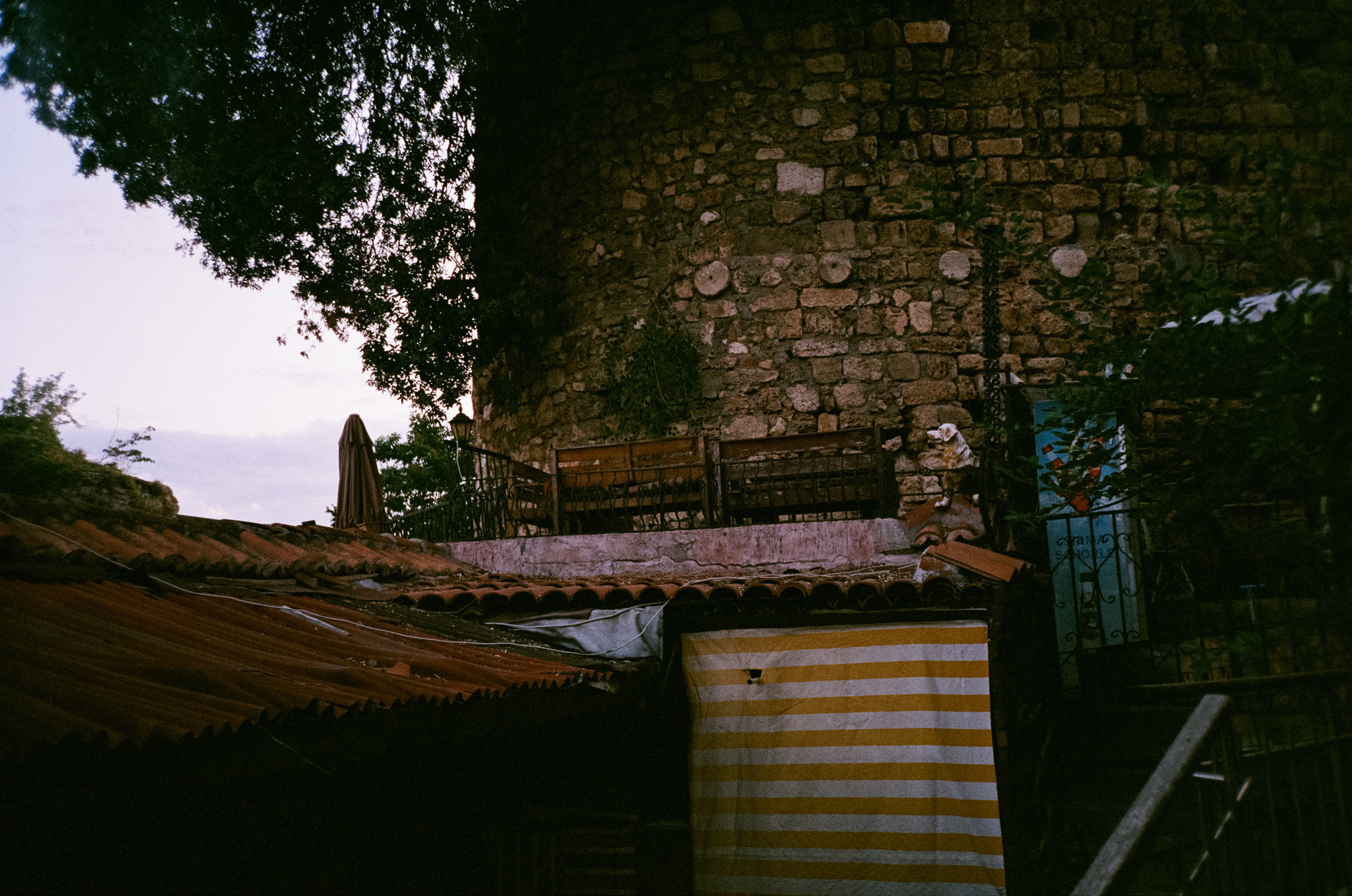 Вечерний город, улочка баров, пальмы и рассвет нового дня. Фотограф-документалист Мария Осокина