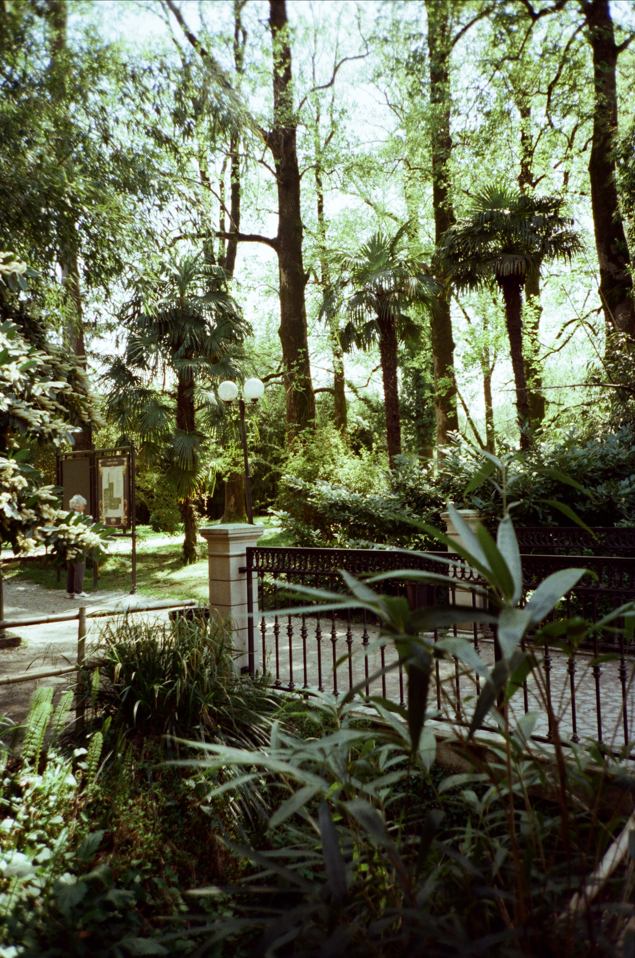 Экзотика Южных культур. Фотограф-документалист Мария Осокина