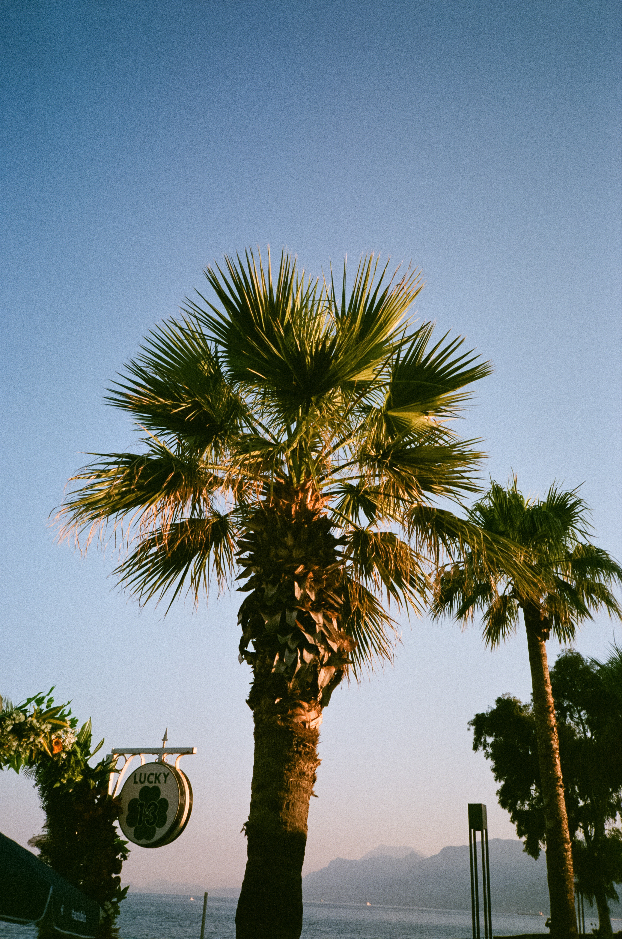 Вечерний город, улочка баров, пальмы и рассвет нового дня. Фотограф-документалист Мария Осокина